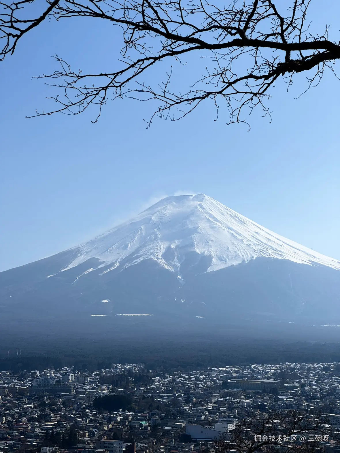 三碗呀于2025-03-26 14:33发布的图片