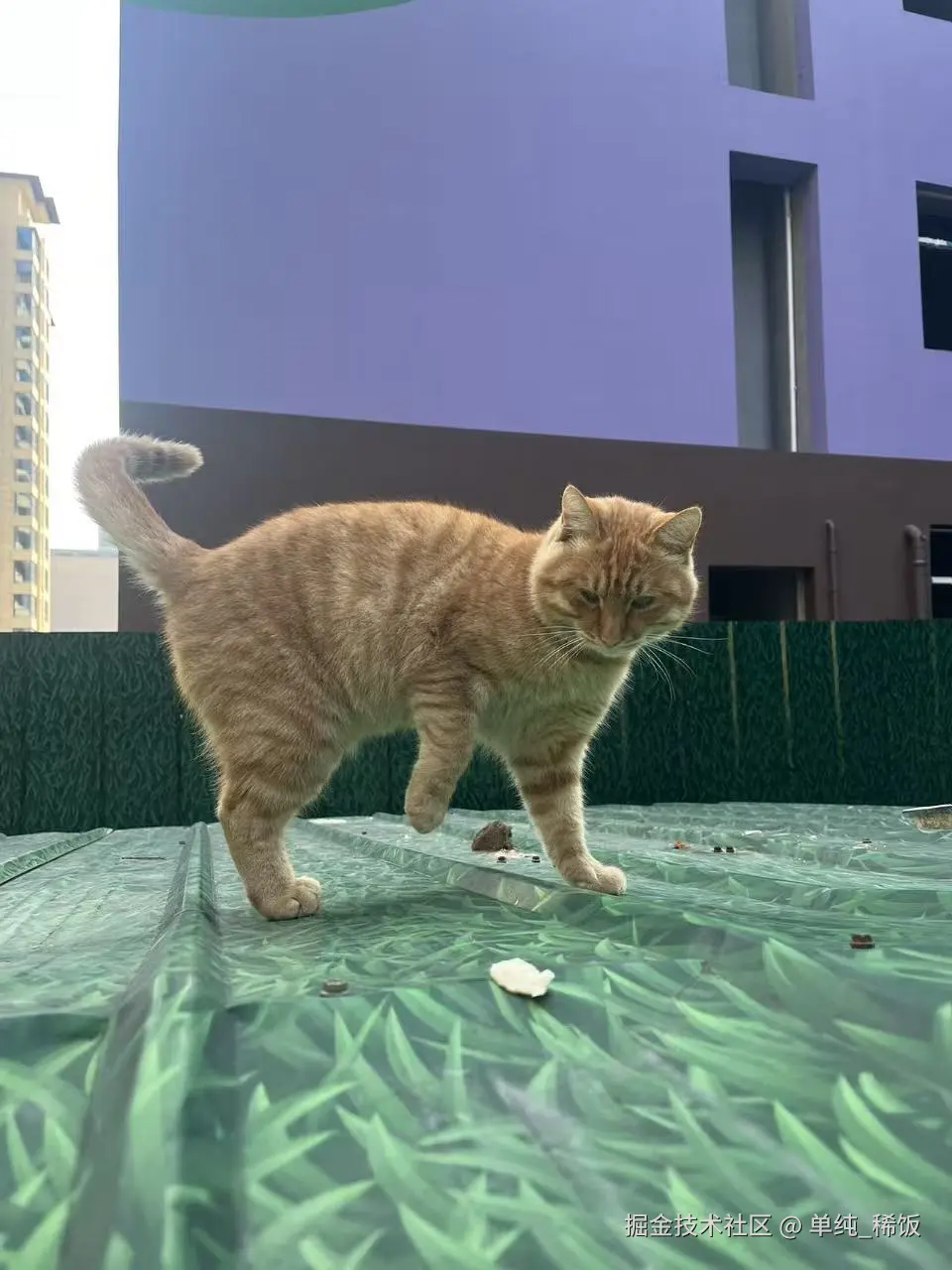 单纯_稀饭于2025-10-27 09:56发布的图片