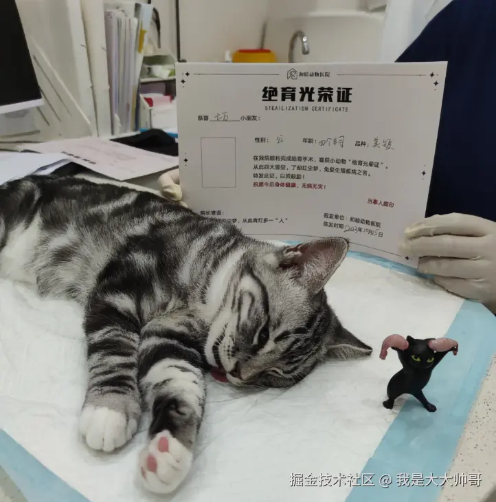 我是大大帅哥于2026-08-18 01:55发布的图片