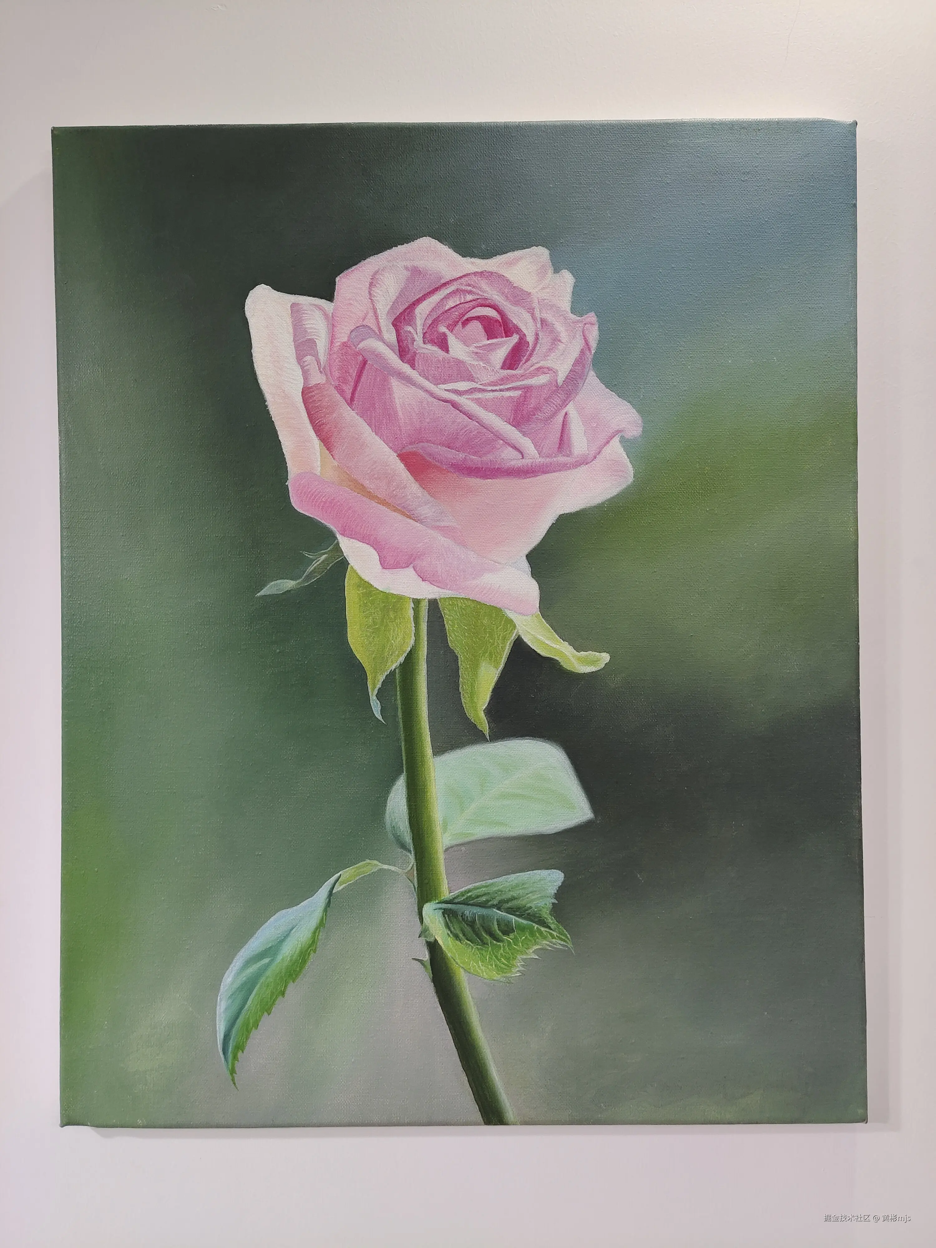 黄彬mjs于2024-08-19 12:21发布的图片