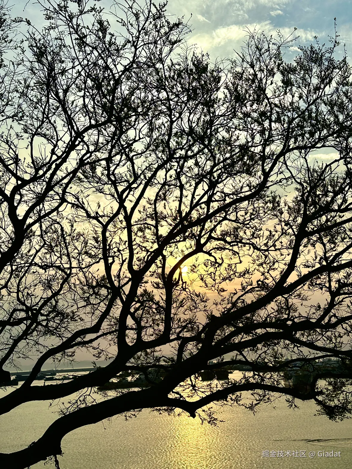 Giadat于2025-04-07 11:54发布的图片