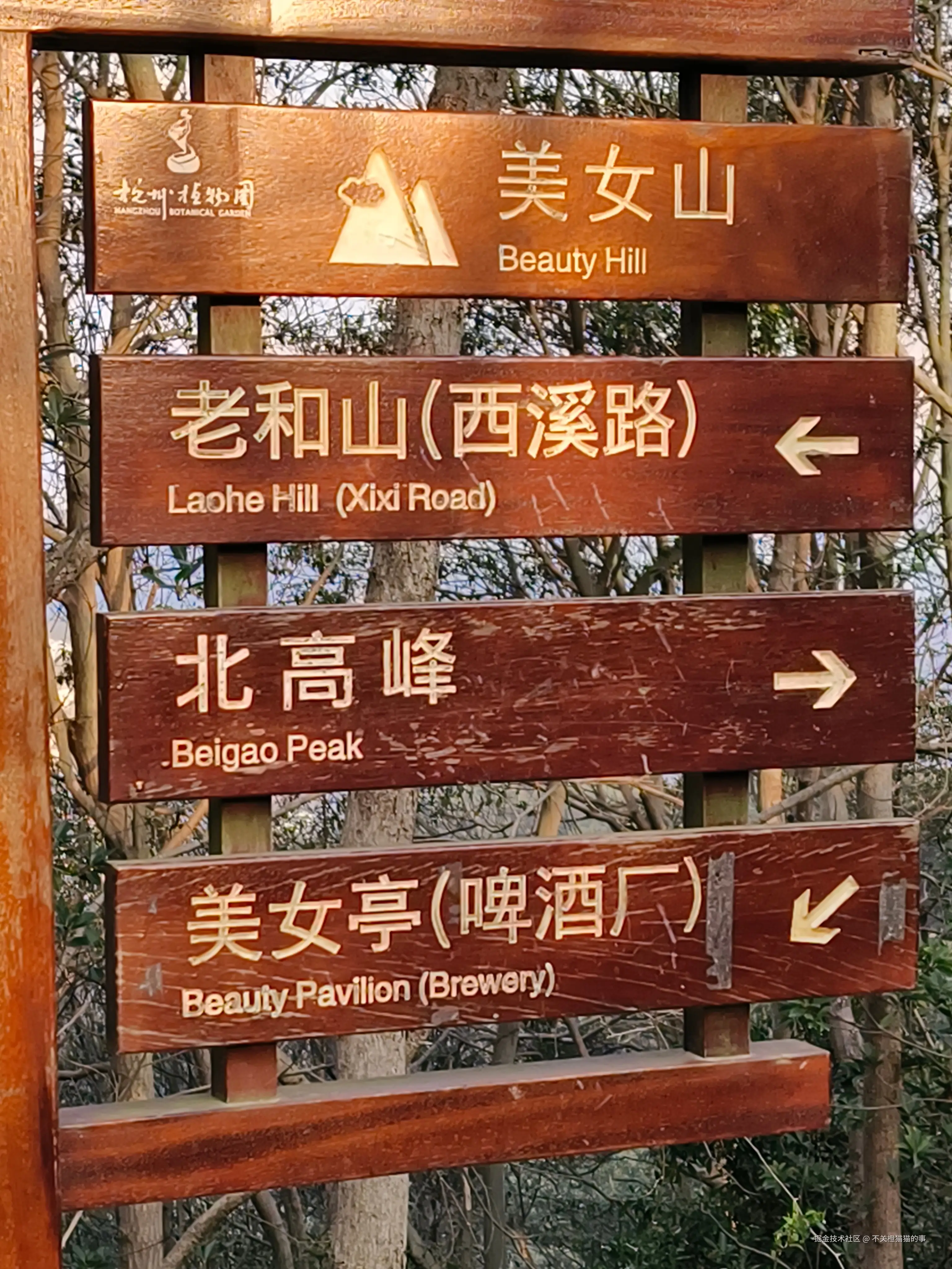 不关橙猫猫的事于2026-03-12 09:29发布的图片