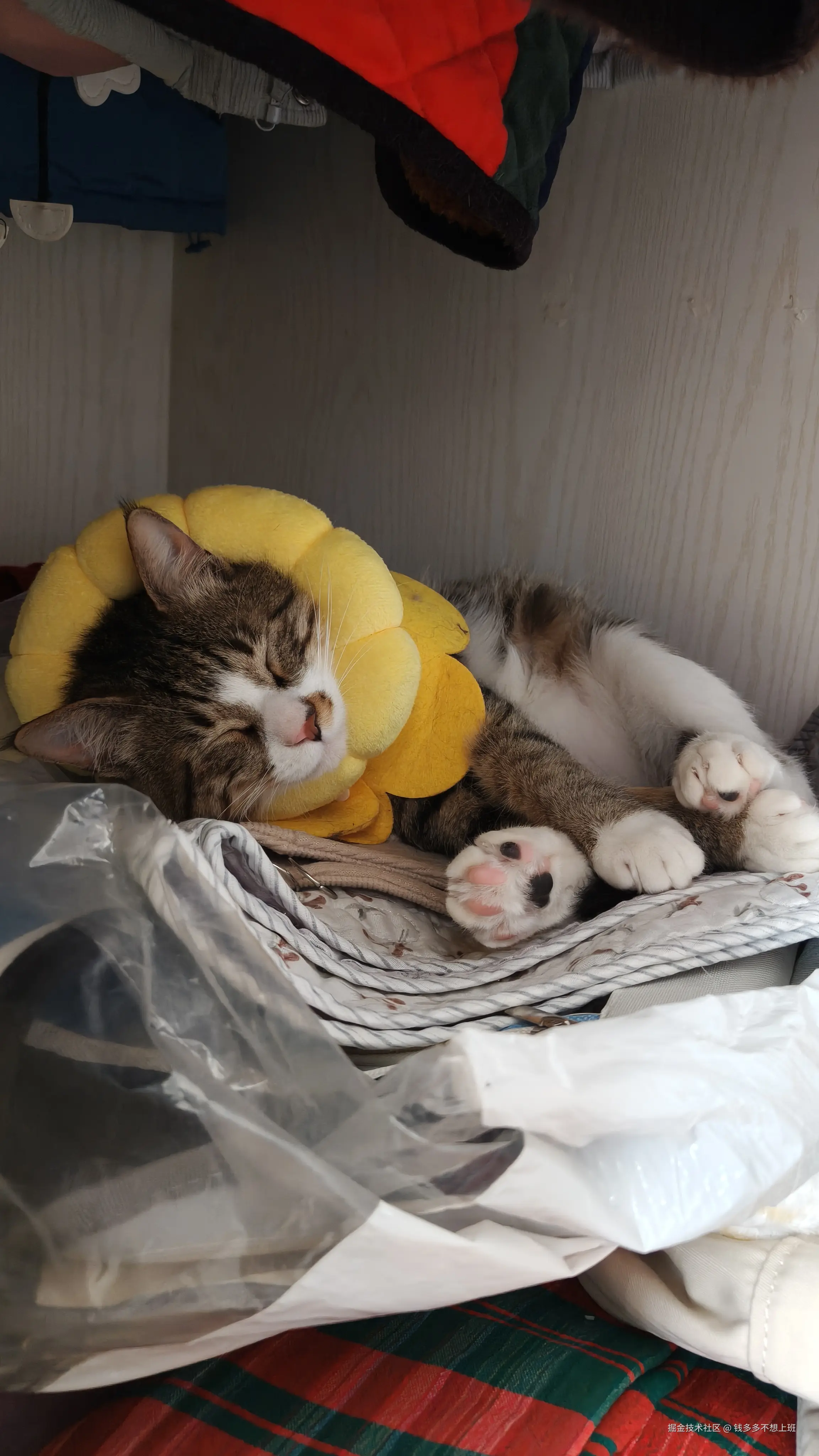 钱多多不想上班于2026-04-07 10:47发布的图片