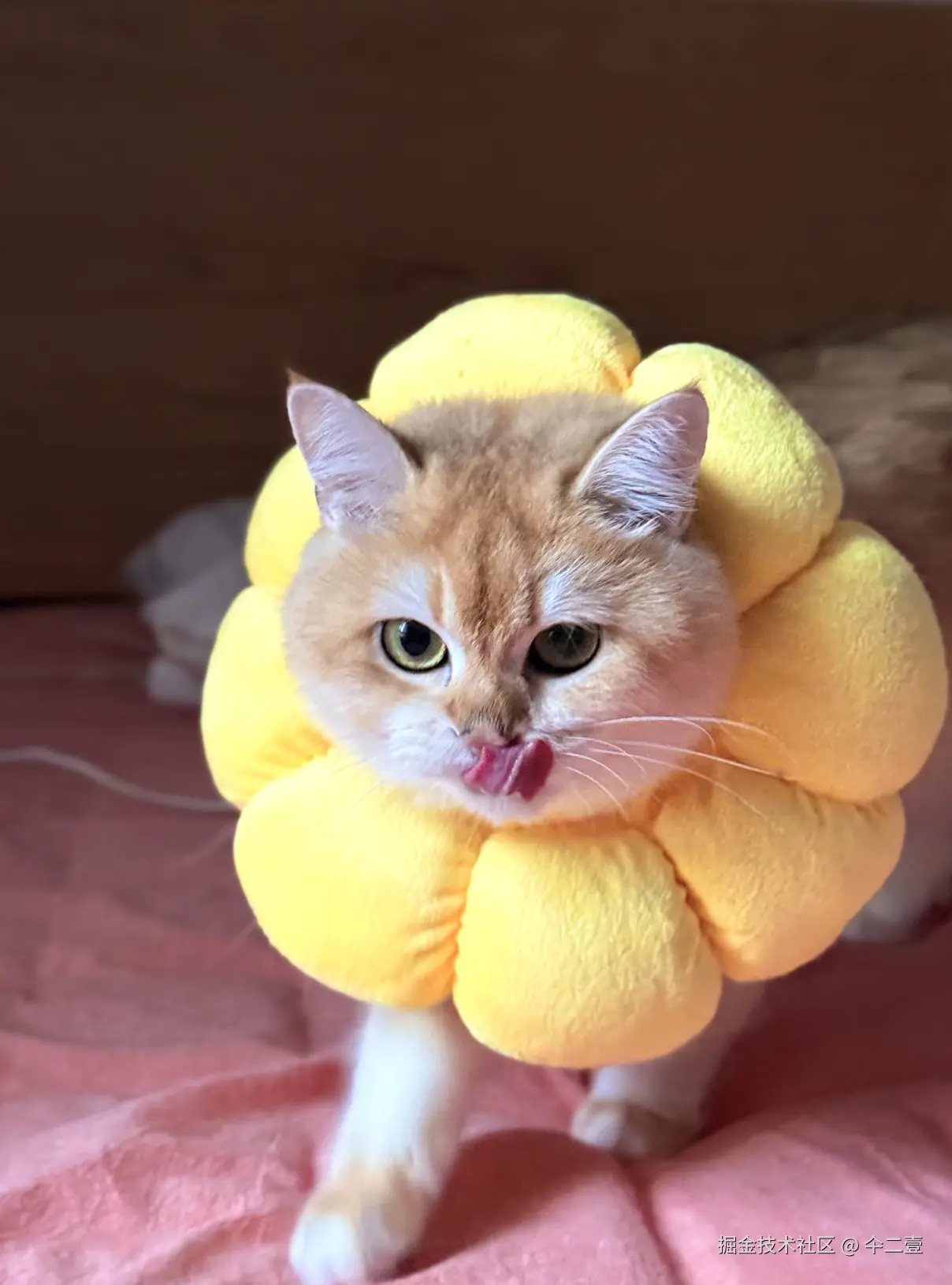 仐二壹于2025-10-23 16:01发布的图片