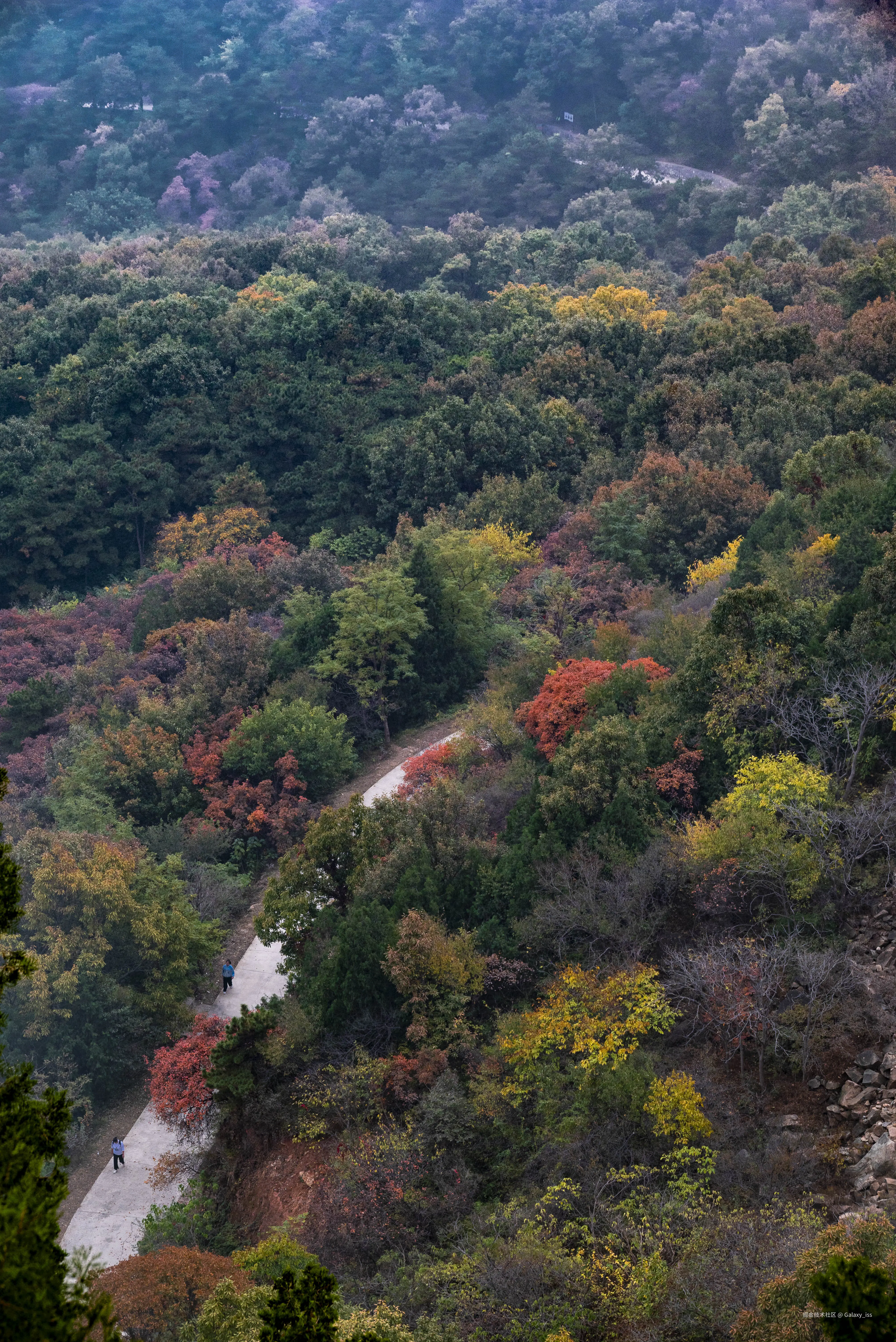 Galaxy_iss于2024-10-30 12:34发布的图片