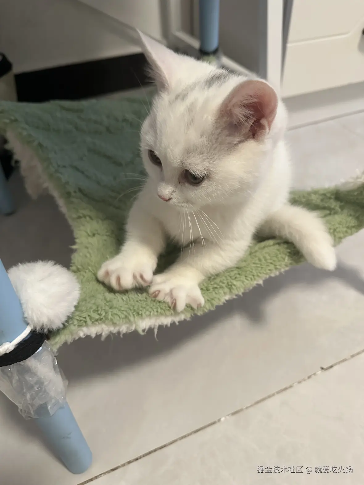 就爱吃火锅于2025-04-07 13:37发布的图片