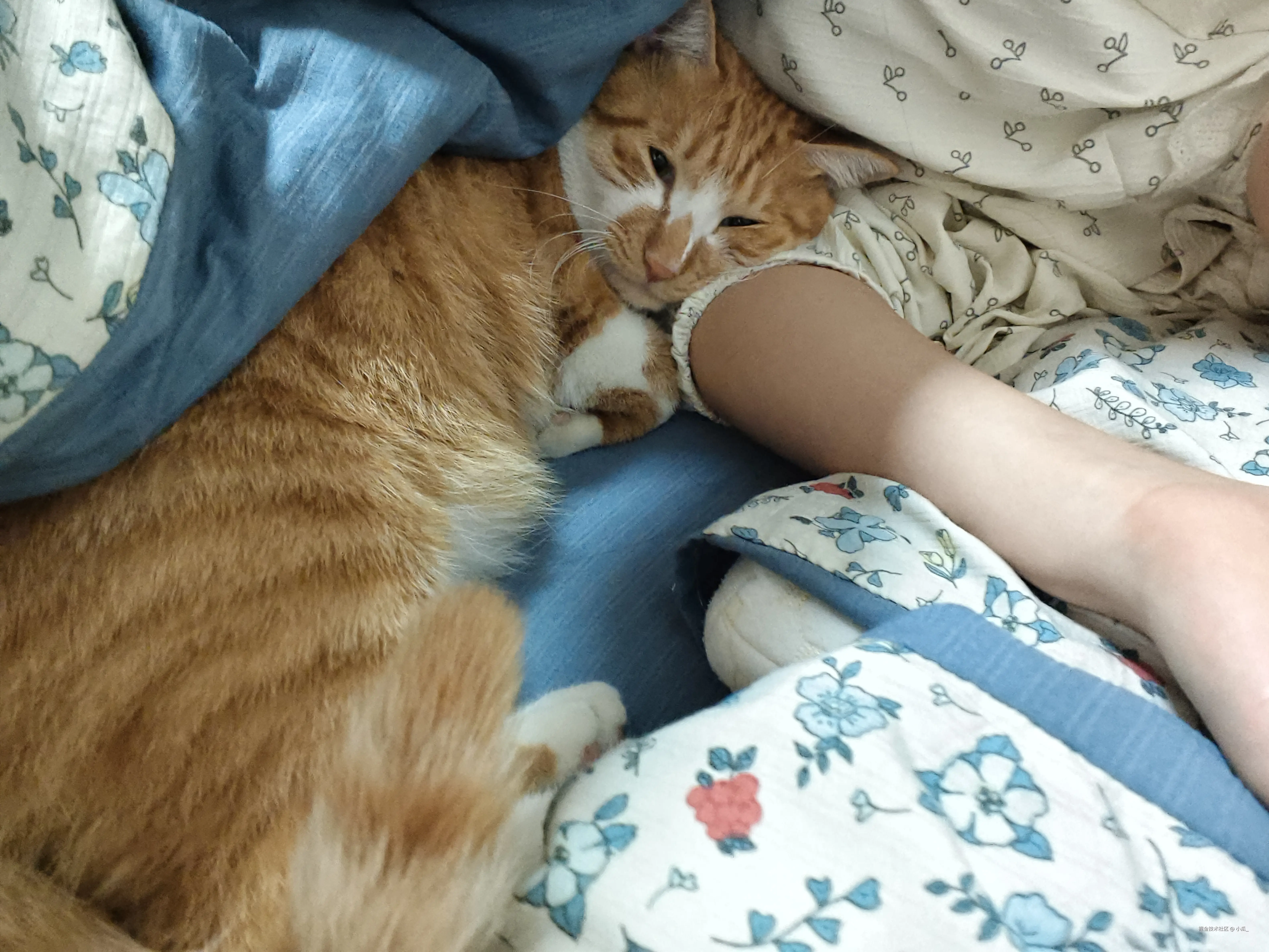 小瓜_于2025-10-21 11:40发布的图片