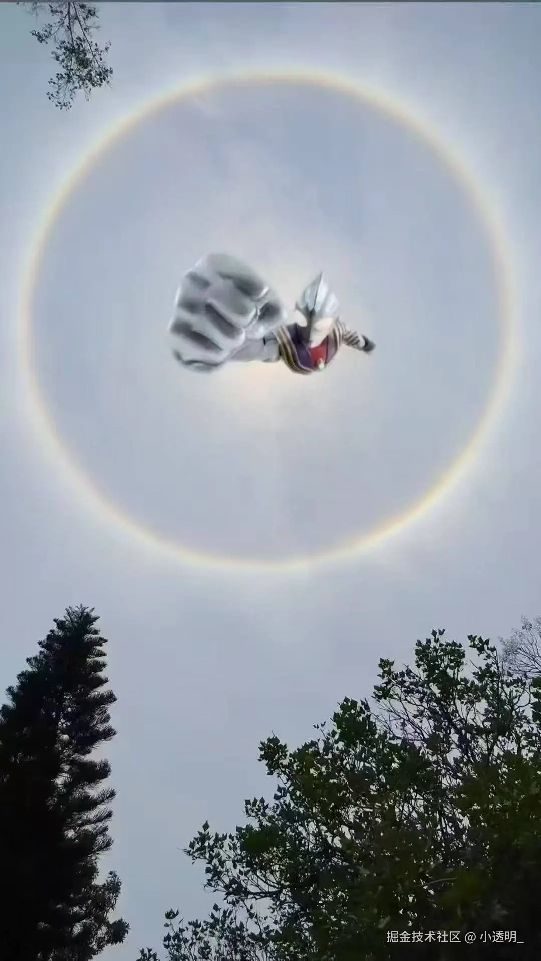 小透明_于2025-07-02 14:04发布的图片