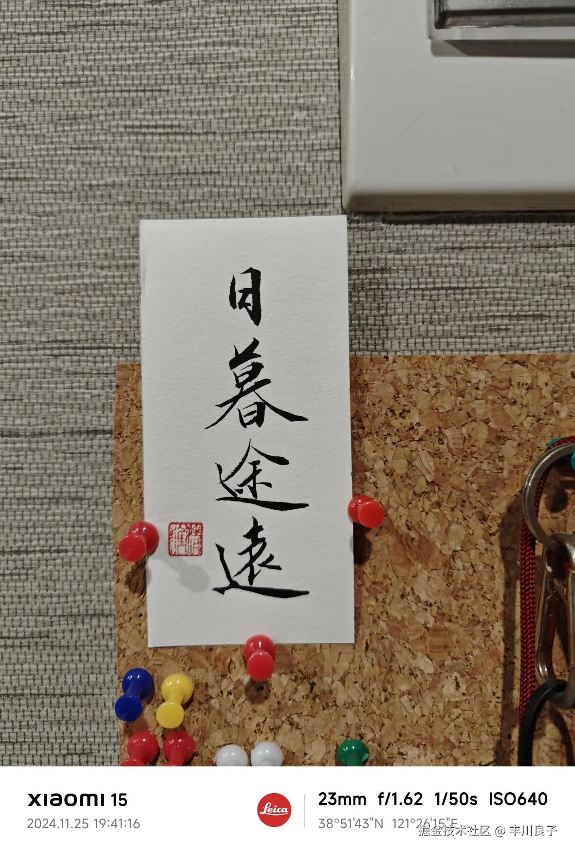 丰川良子于2024-11-29 09:22发布的图片