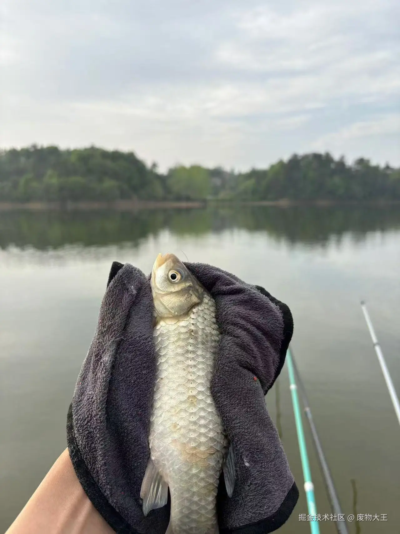 废物大王于2025-04-14 10:21发布的图片