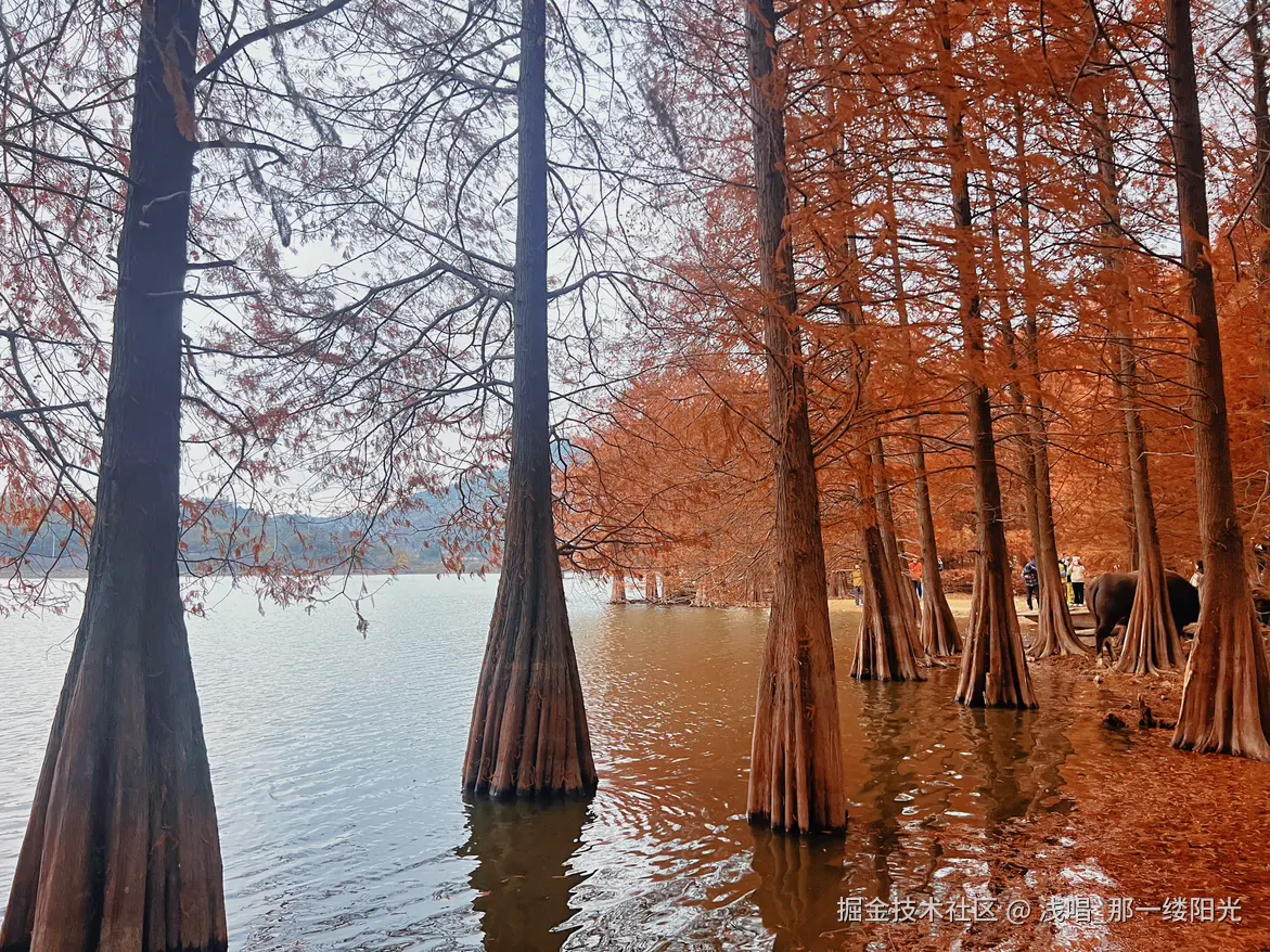 浅唱_那一缕阳光于2025-12-25 11:19发布的图片