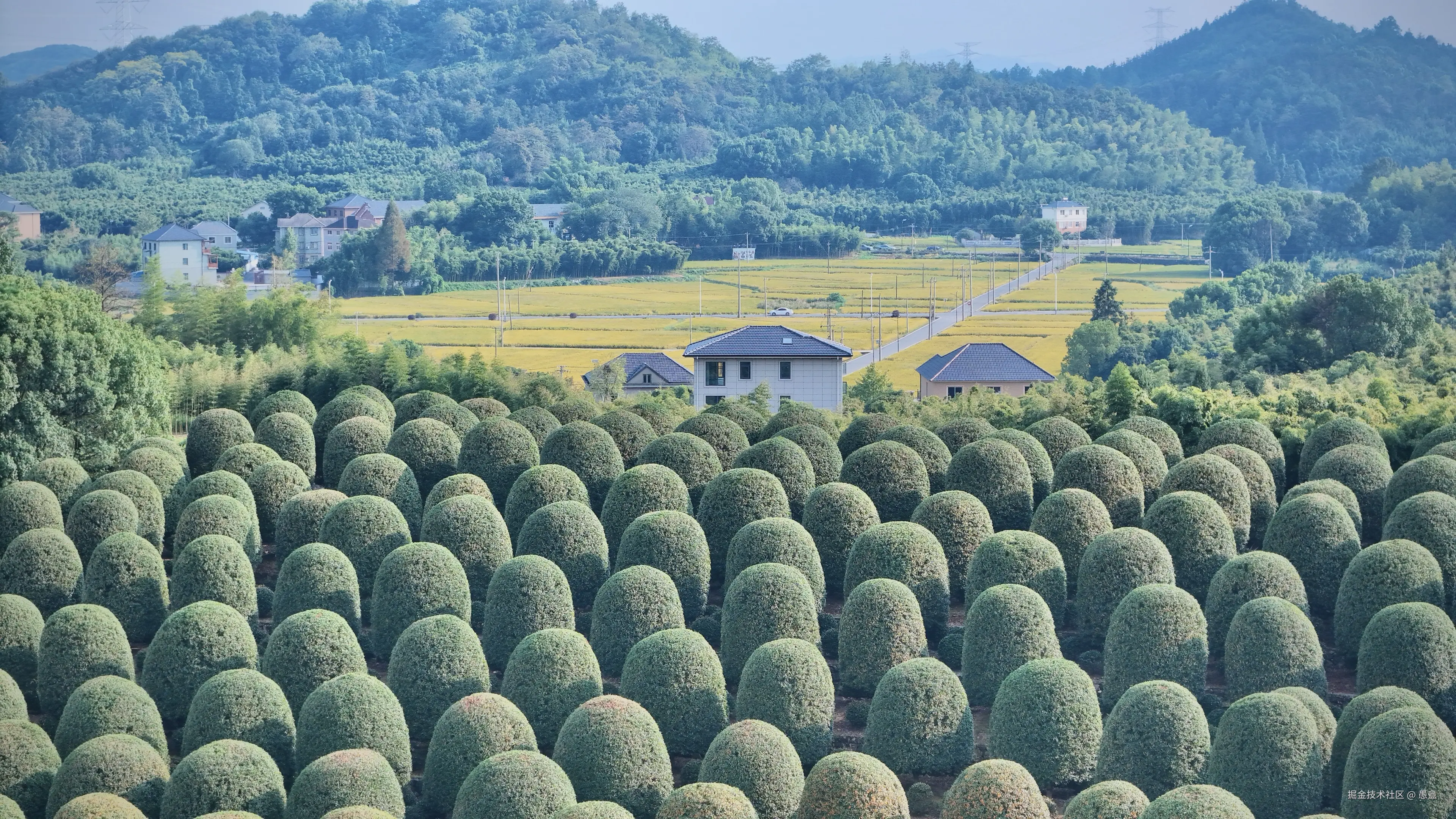 愚盦于2025-10-27 16:02发布的图片