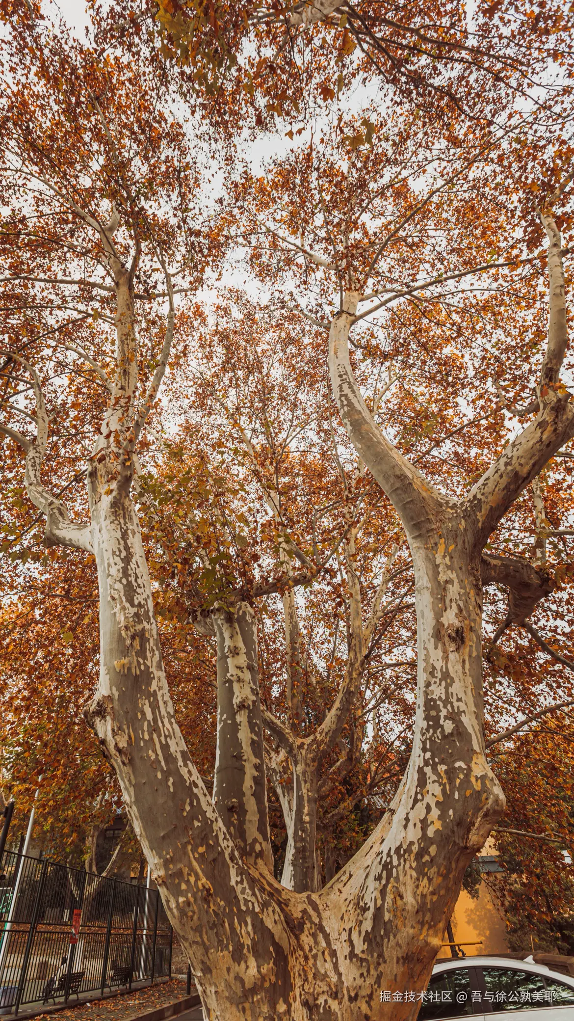 吾与徐公孰美耶于2025-08-07 11:17发布的图片