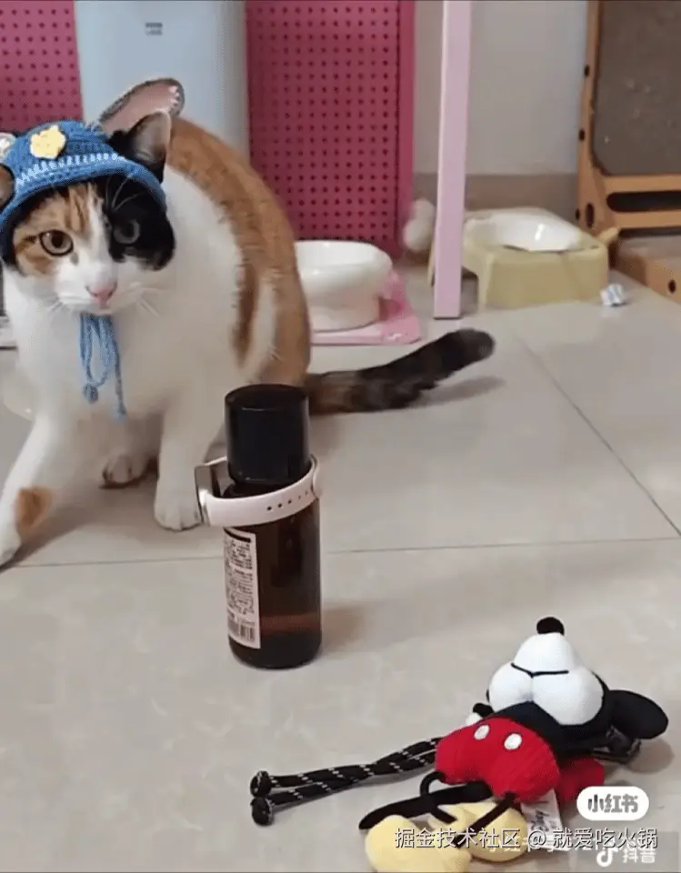 就爱吃火锅于2025-12-22 13:55发布的图片