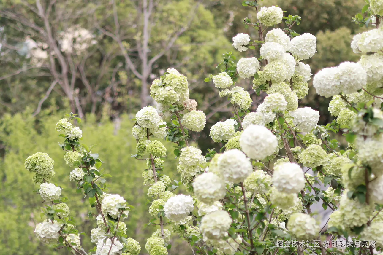 那我关月亮咯于2025-03-31 14:28发布的图片