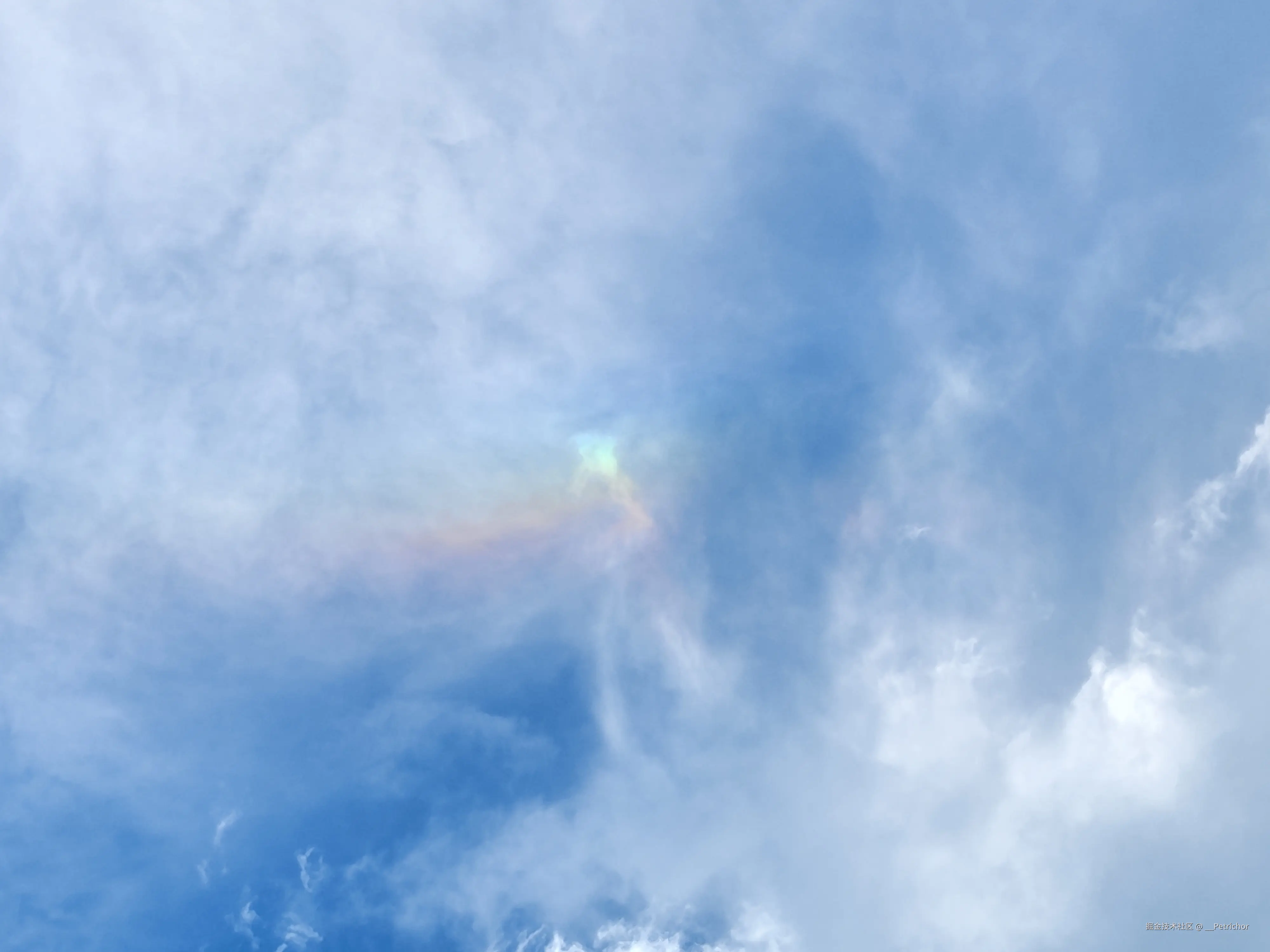 __Petrichor于2024-07-26 17:48发布的图片