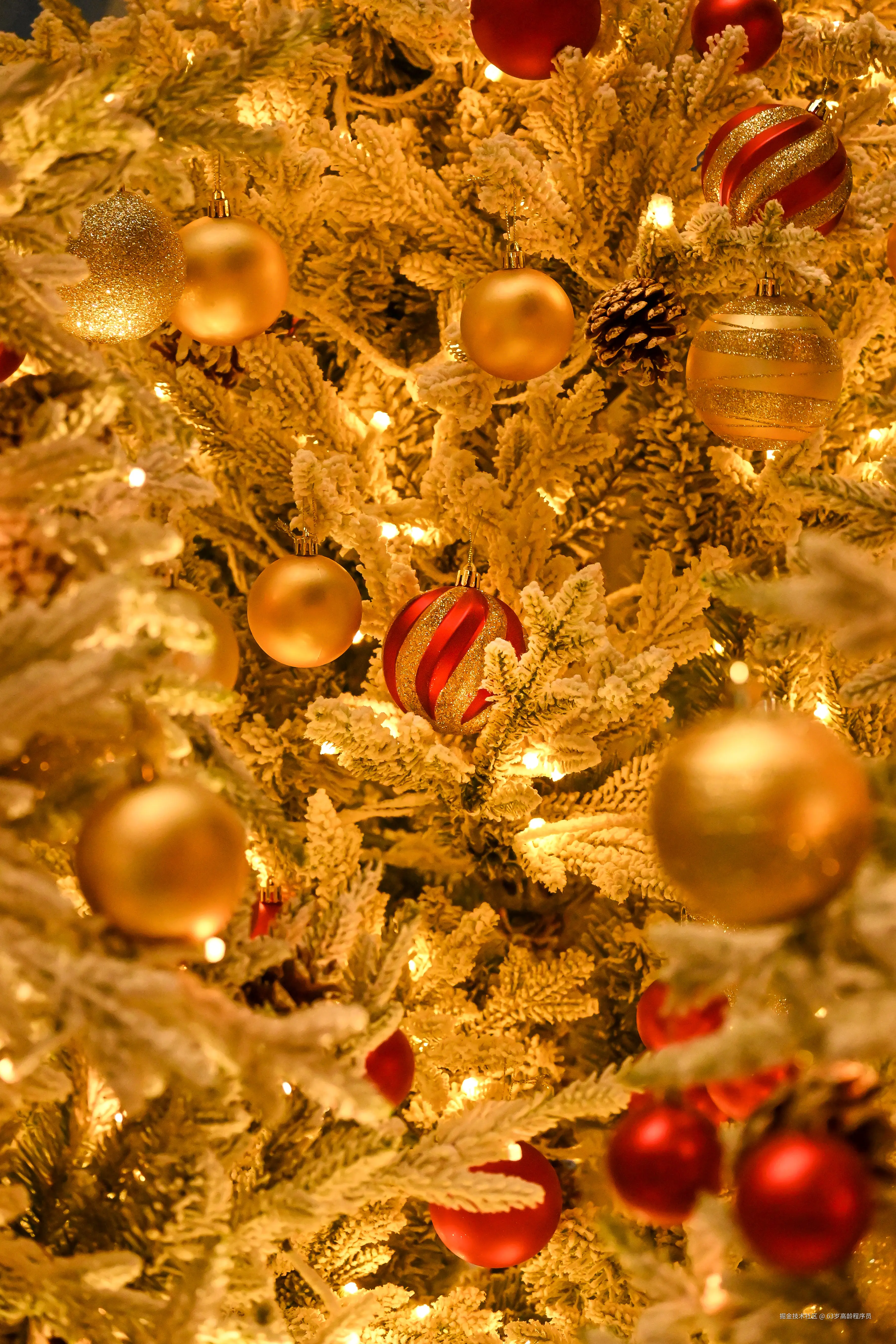 63岁高龄程序员于2025-12-19 09:26发布的图片