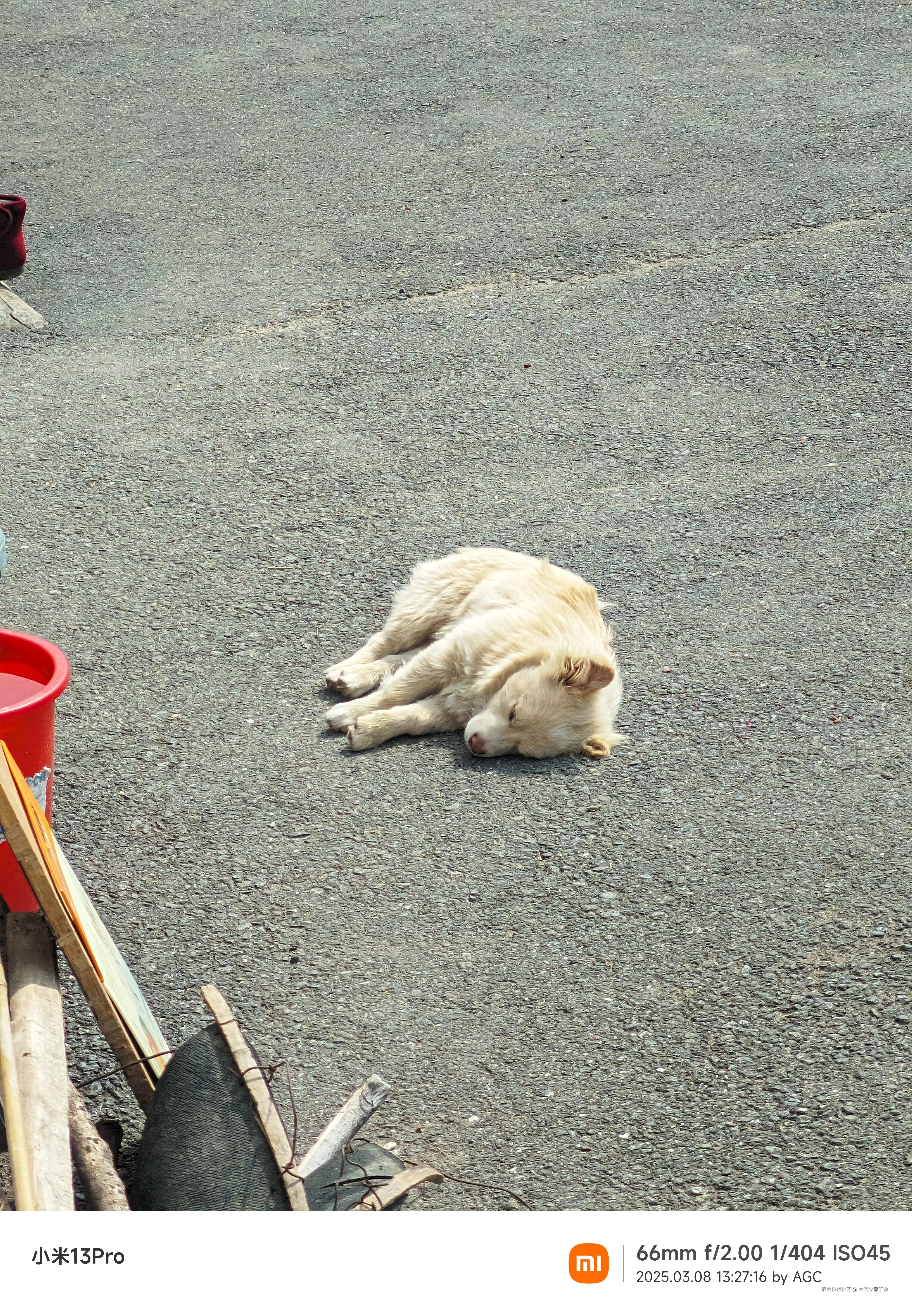 大明少保于谦于2025-03-10 15:40发布的图片