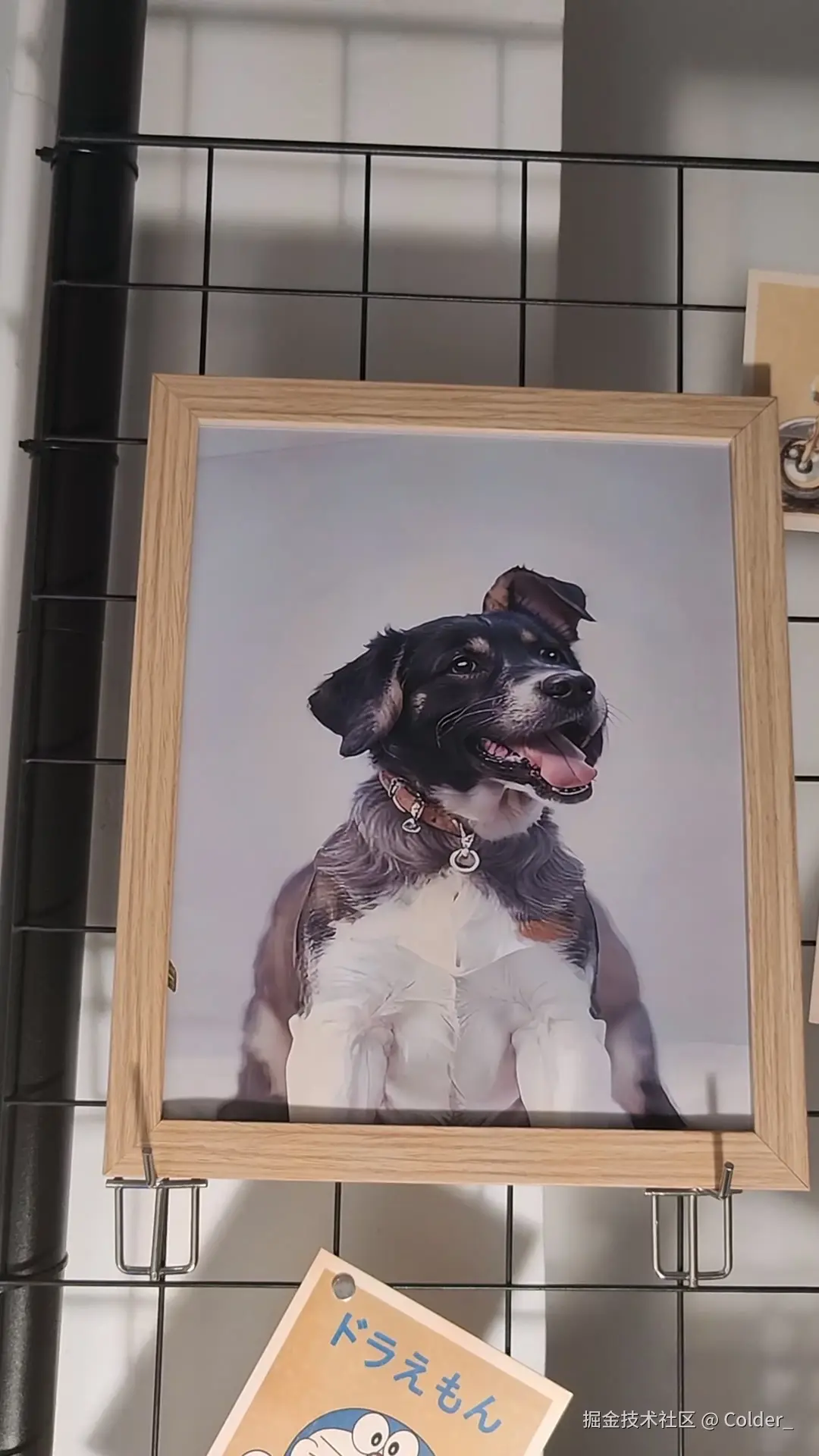 Colder_于2025-08-08 11:09发布的图片