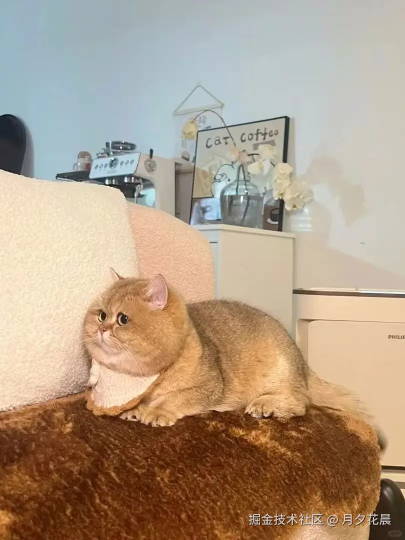 月夕花晨于2024-11-29 11:57发布的图片