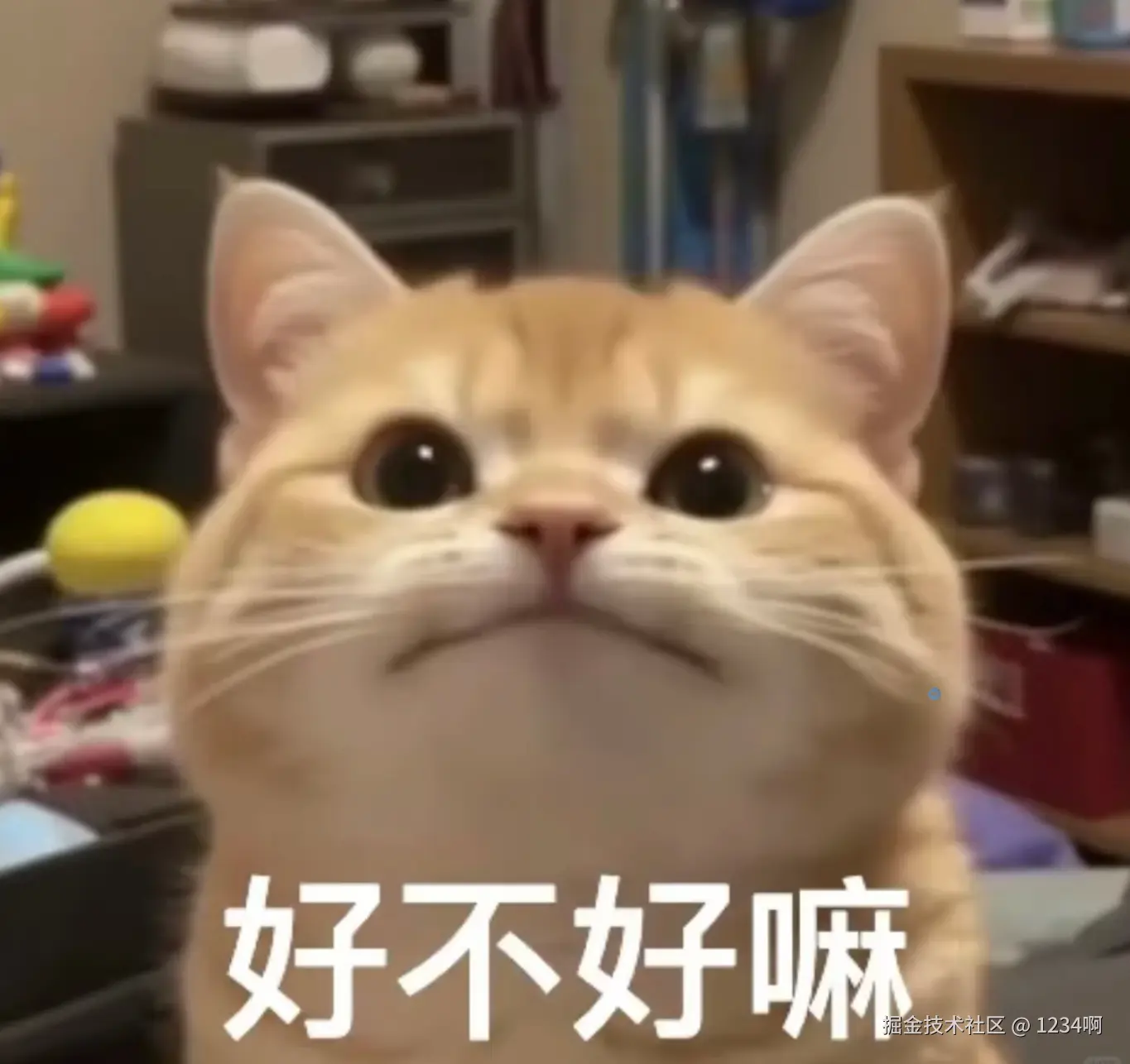 1234啊于2025-01-21 14:56发布的图片