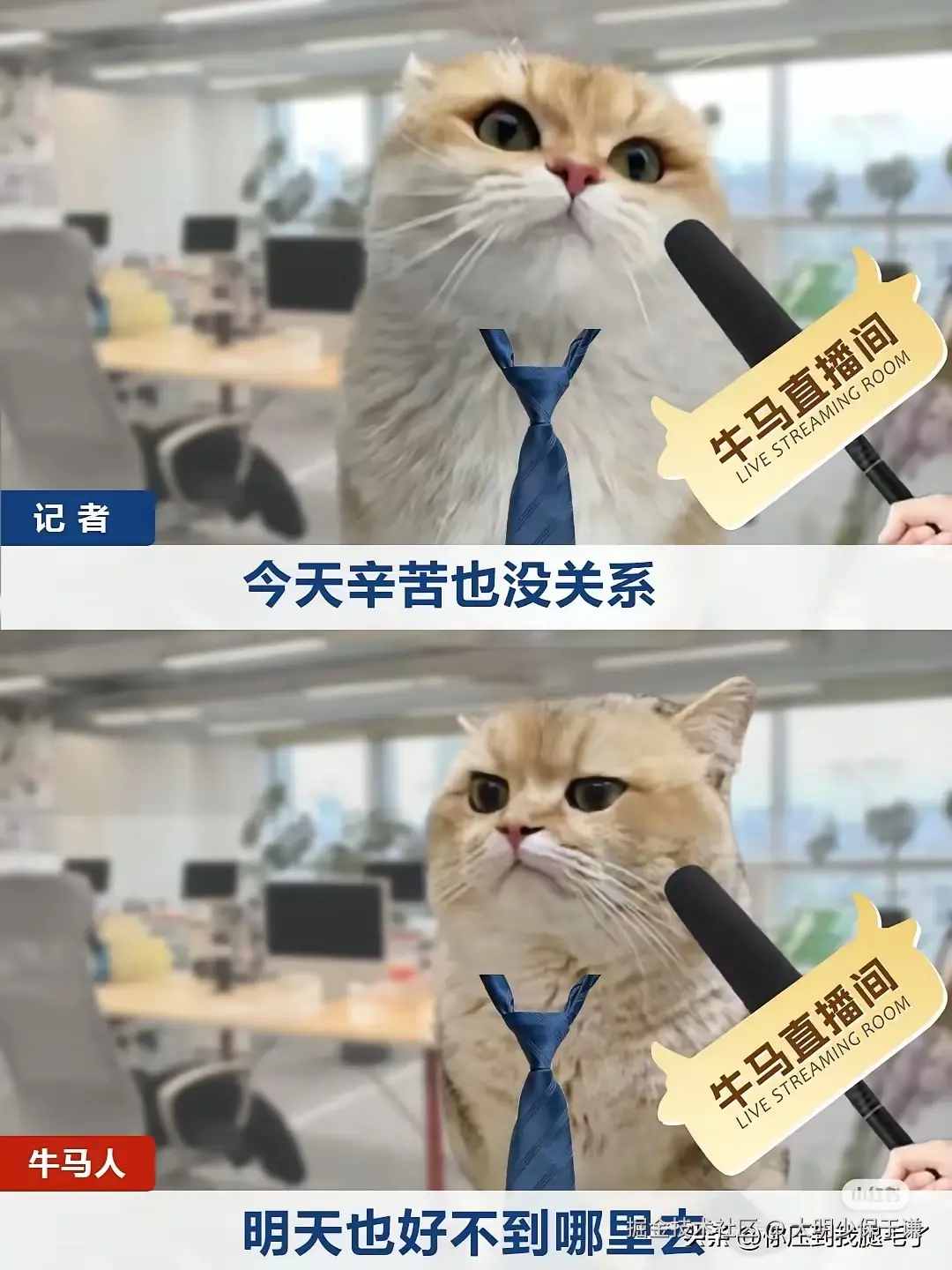 大明少保于谦于2025-04-27 01:32发布的图片