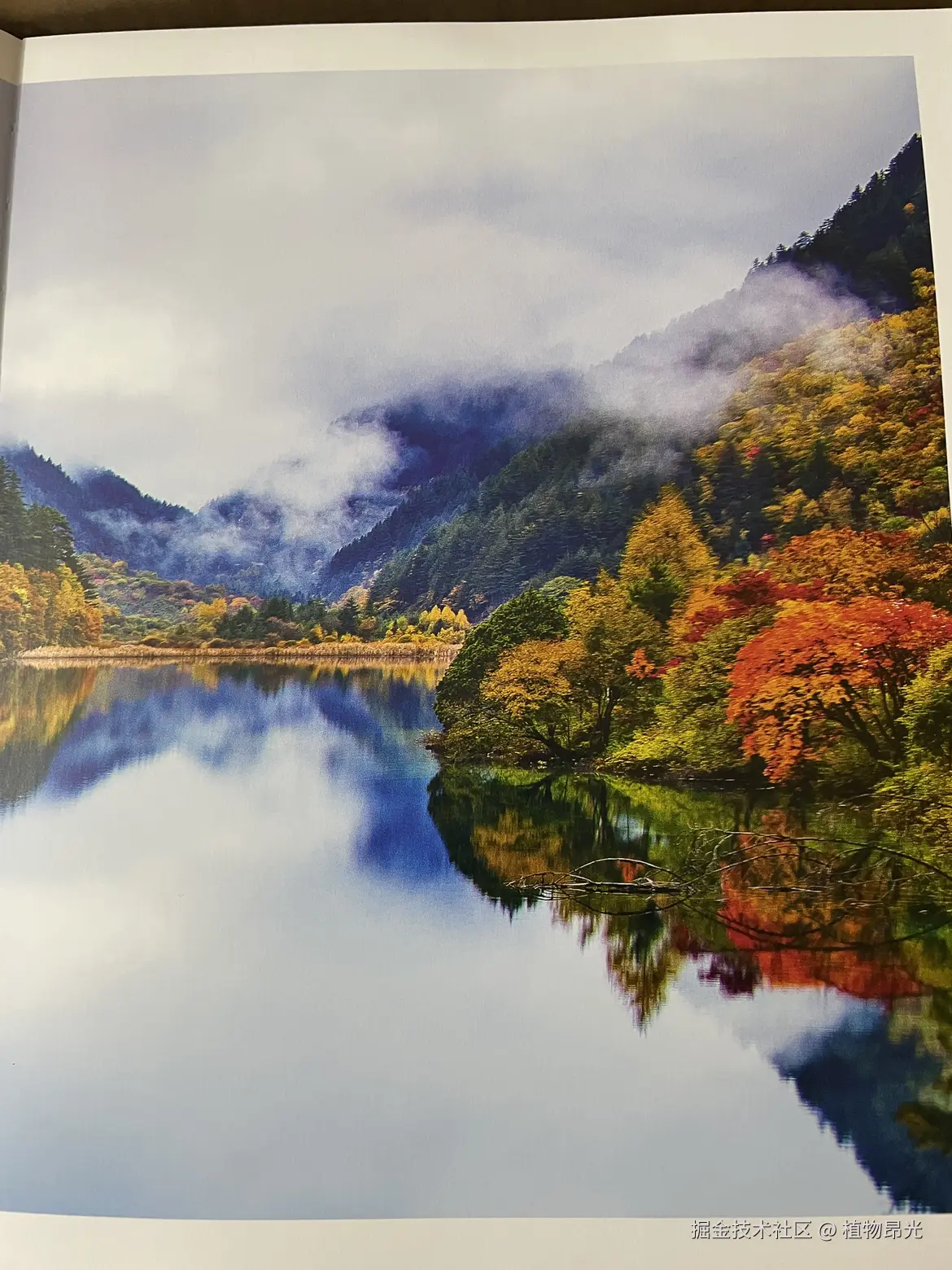 植物昂光于2026-03-12 22:26发布的图片