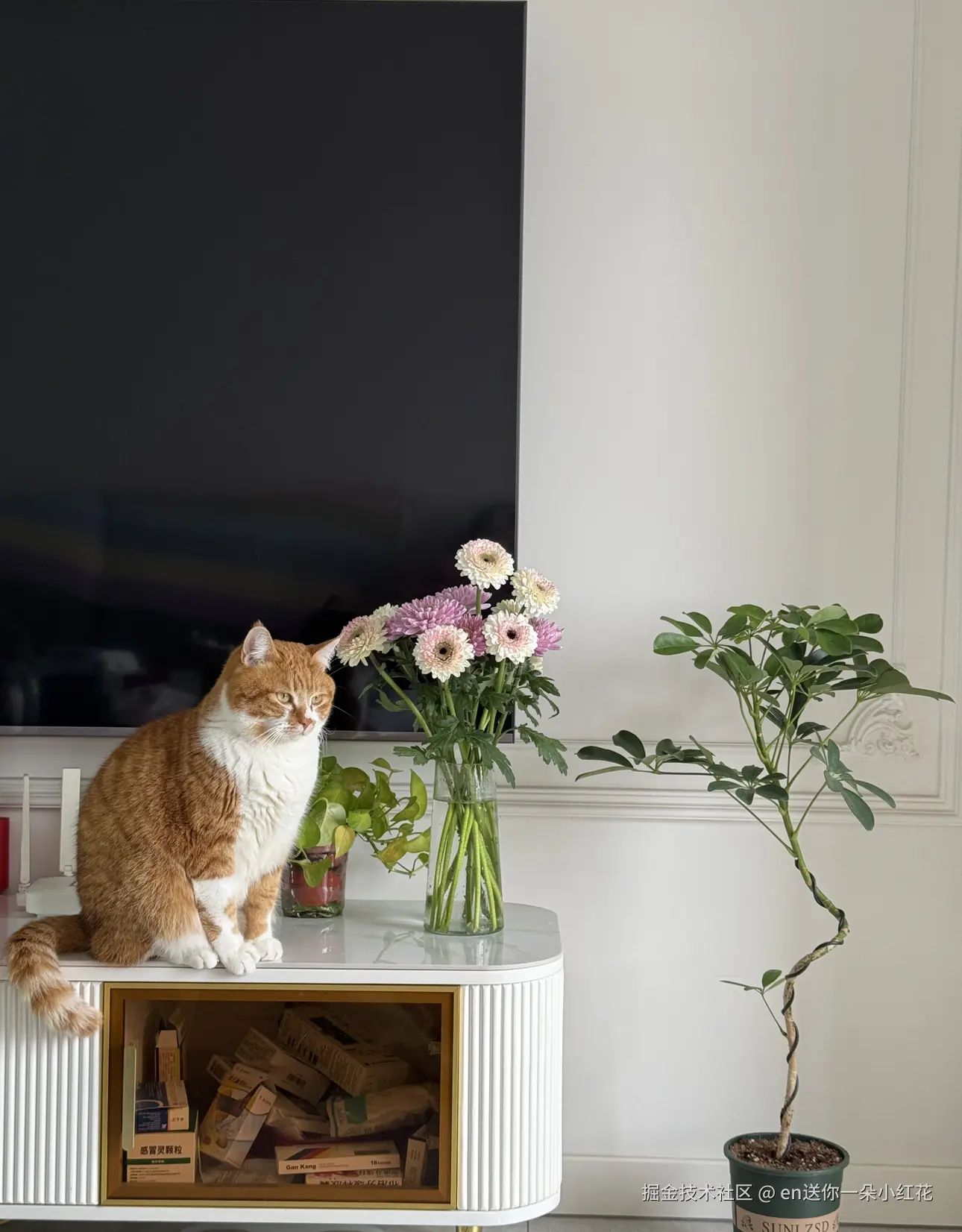 en送你一朵小红花于2026-01-15 09:31发布的图片