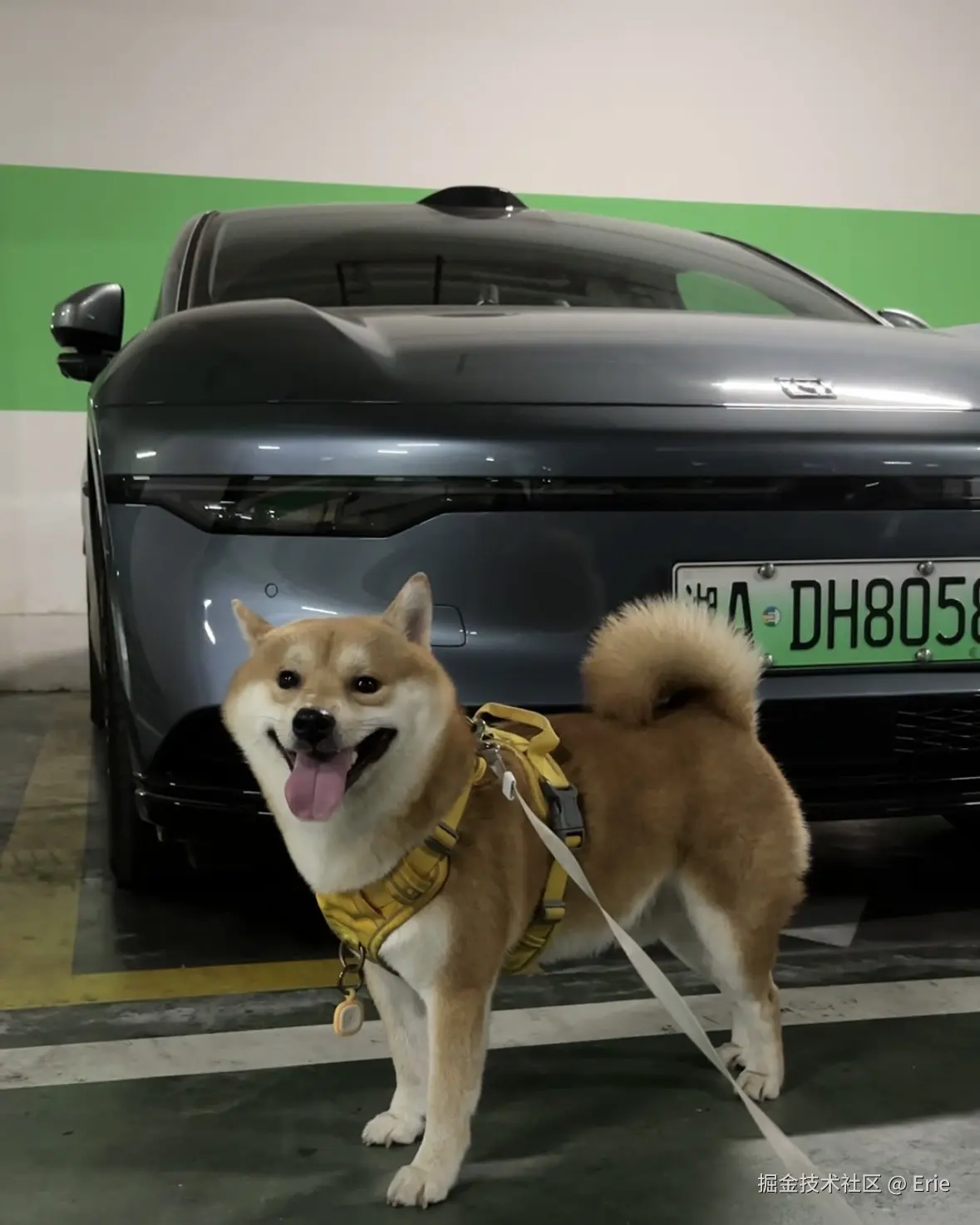 Erie于2024-09-06 02:03发布的图片