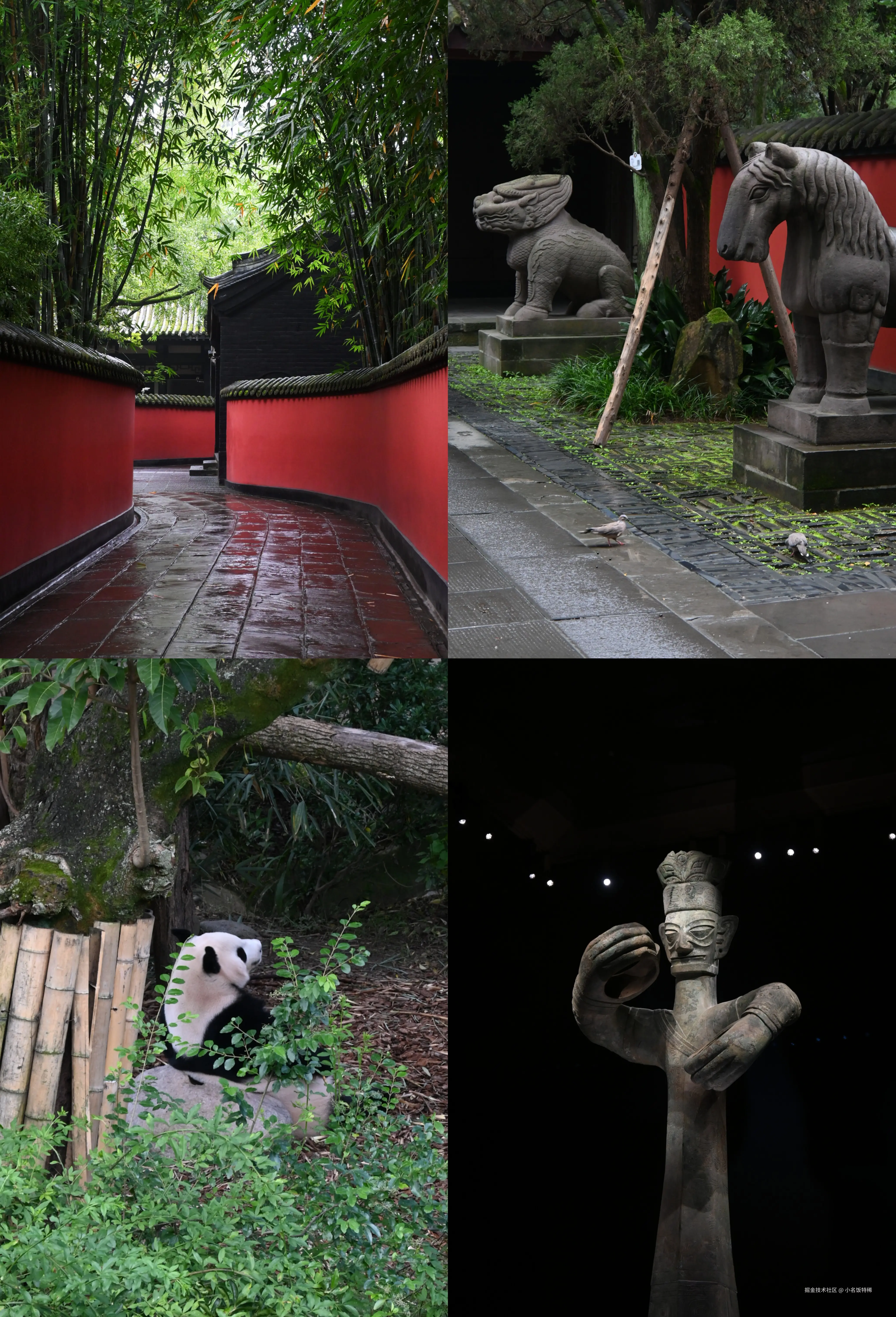 小名饭特稀于2025-10-09 02:26发布的图片