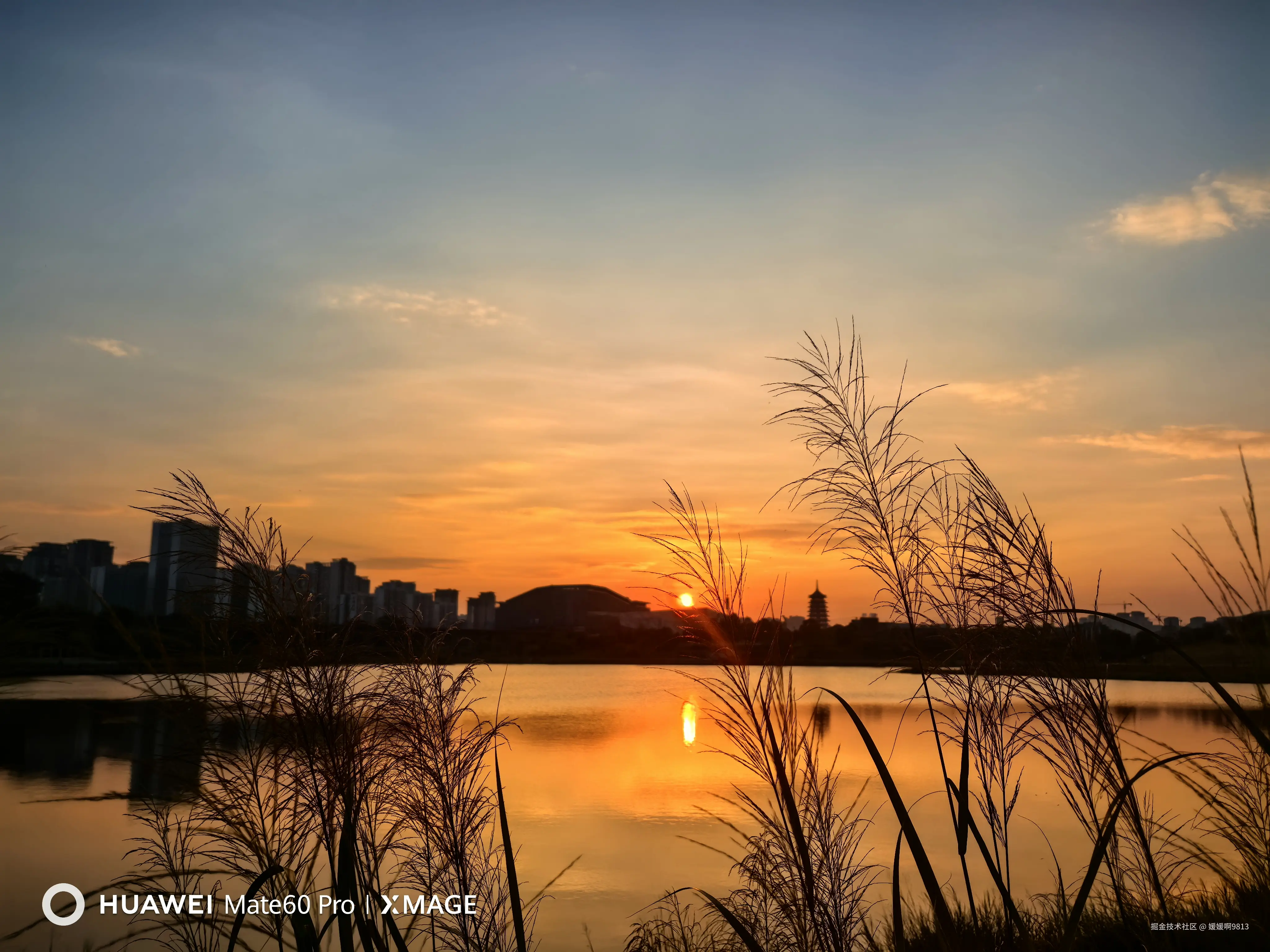 媛媛啊9813于2024-11-04 07:14发布的图片