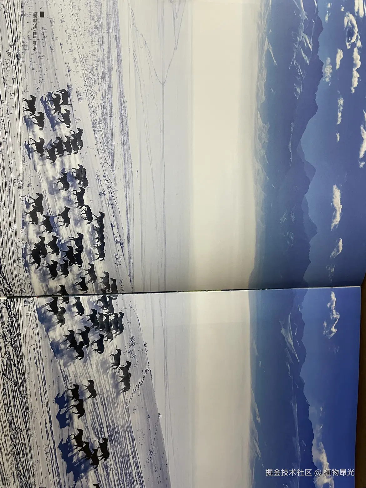 植物昂光于2026-03-19 20:22发布的图片