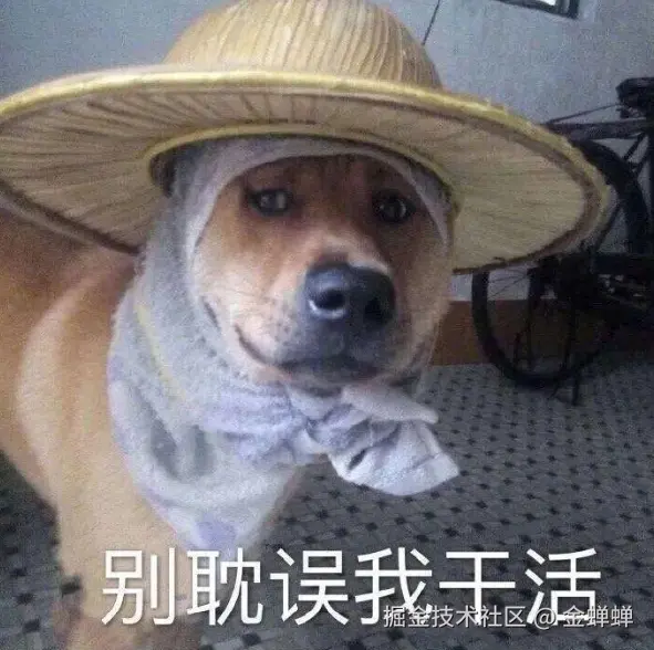 金蝉蝉于2025-08-05 08:41发布的图片