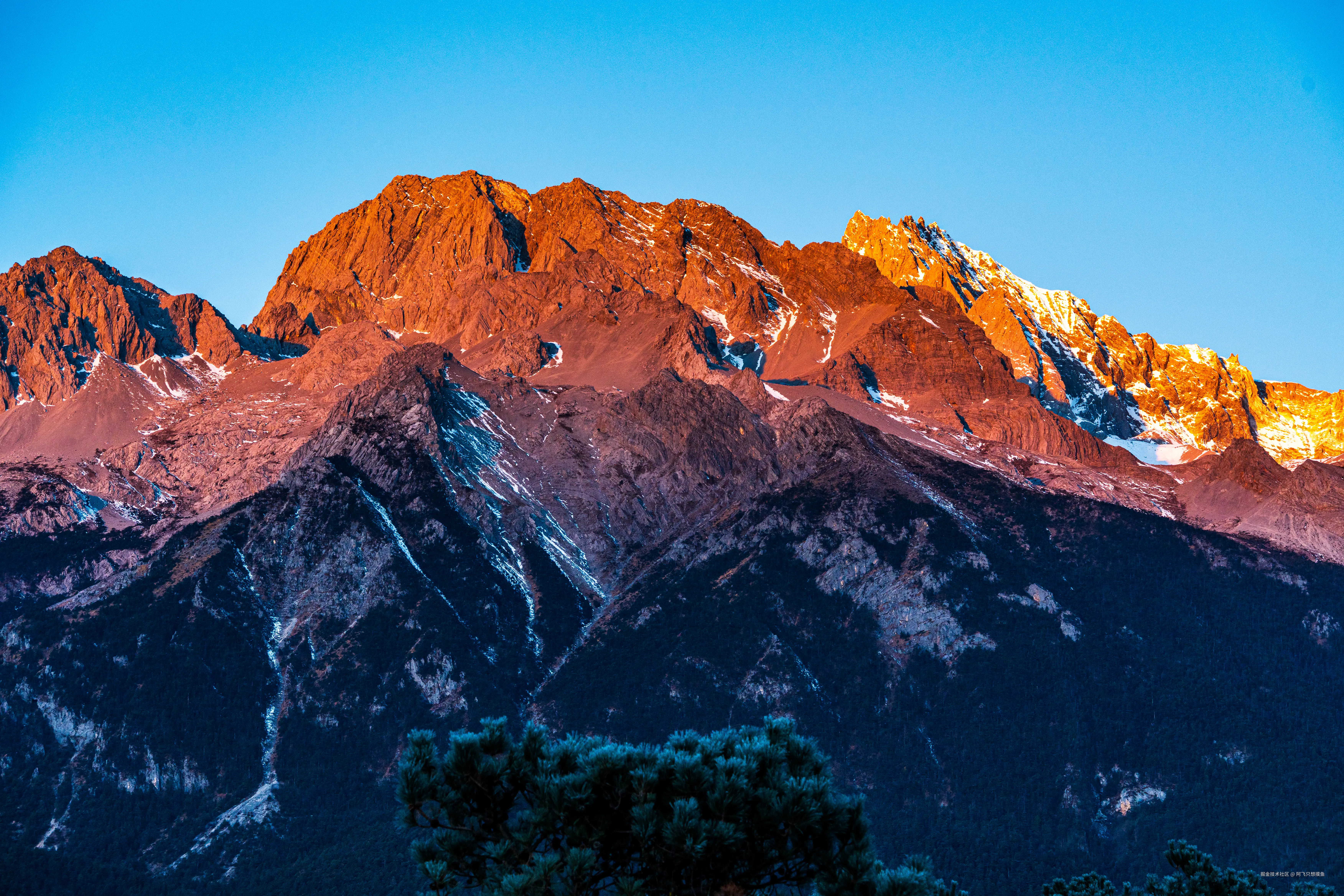 阿飞只想摸鱼于2026-02-11 14:53发布的图片