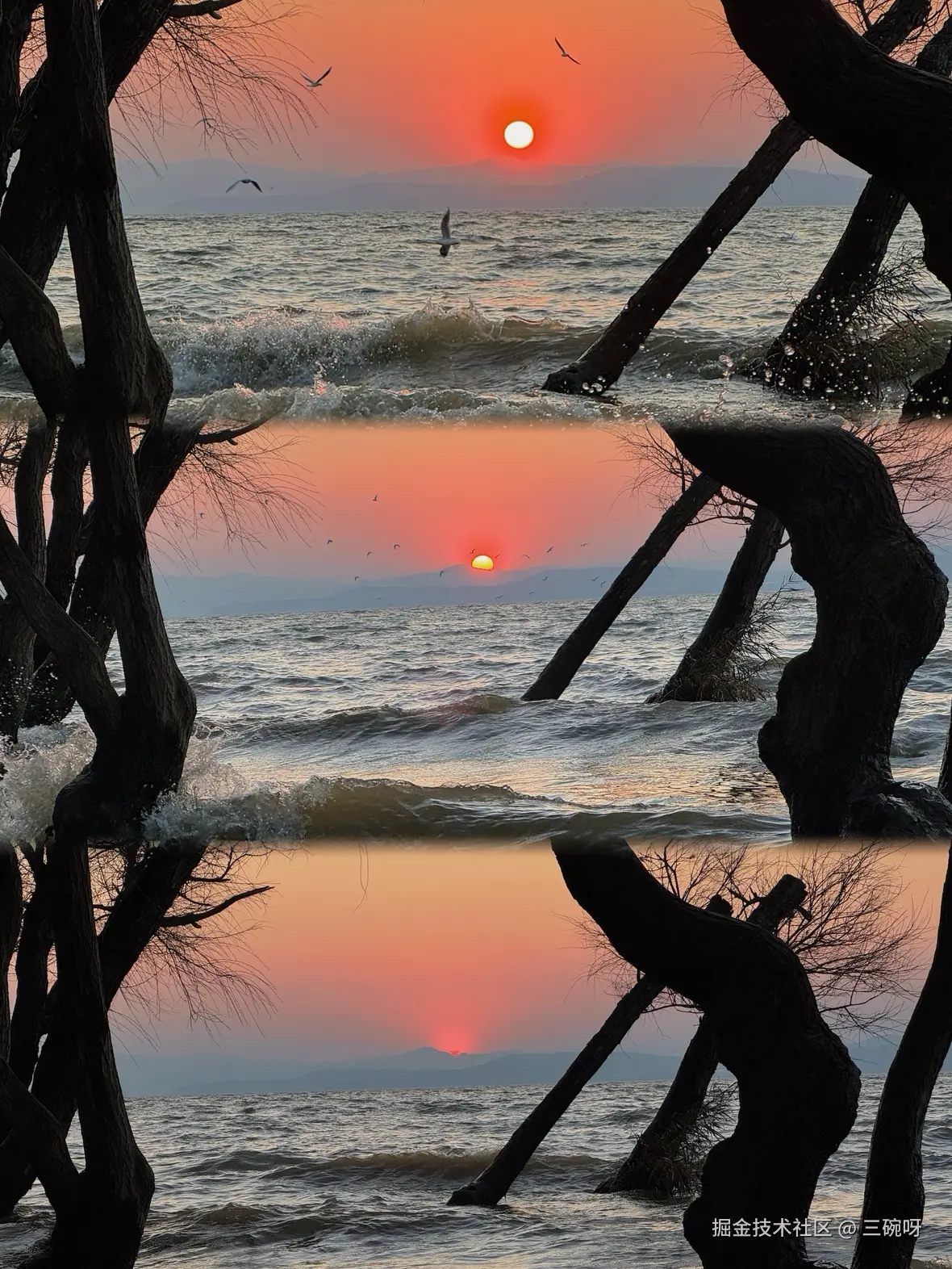 三碗呀于2026-03-06 10:27发布的图片