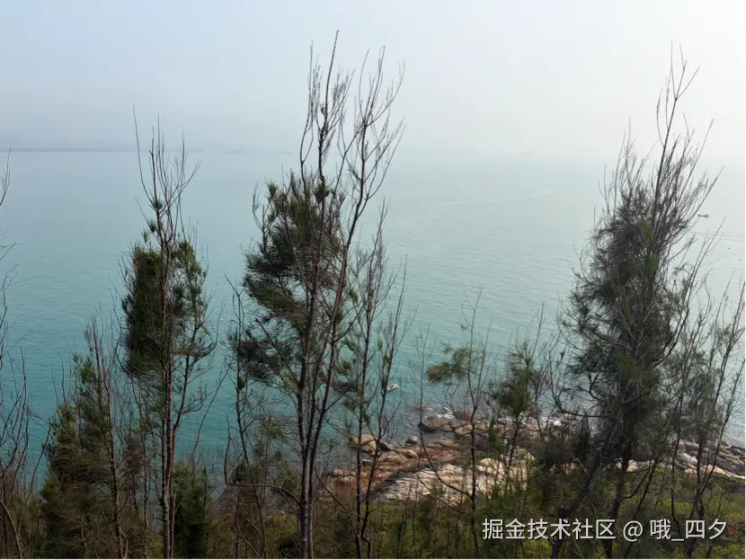 哦_四夕于2026-04-20 10:41发布的图片