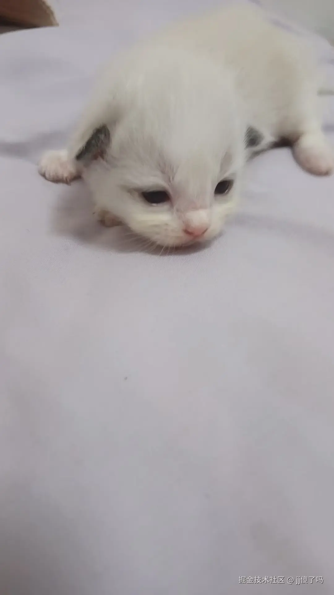 jj傻了吗于2025-06-17 11:18发布的图片