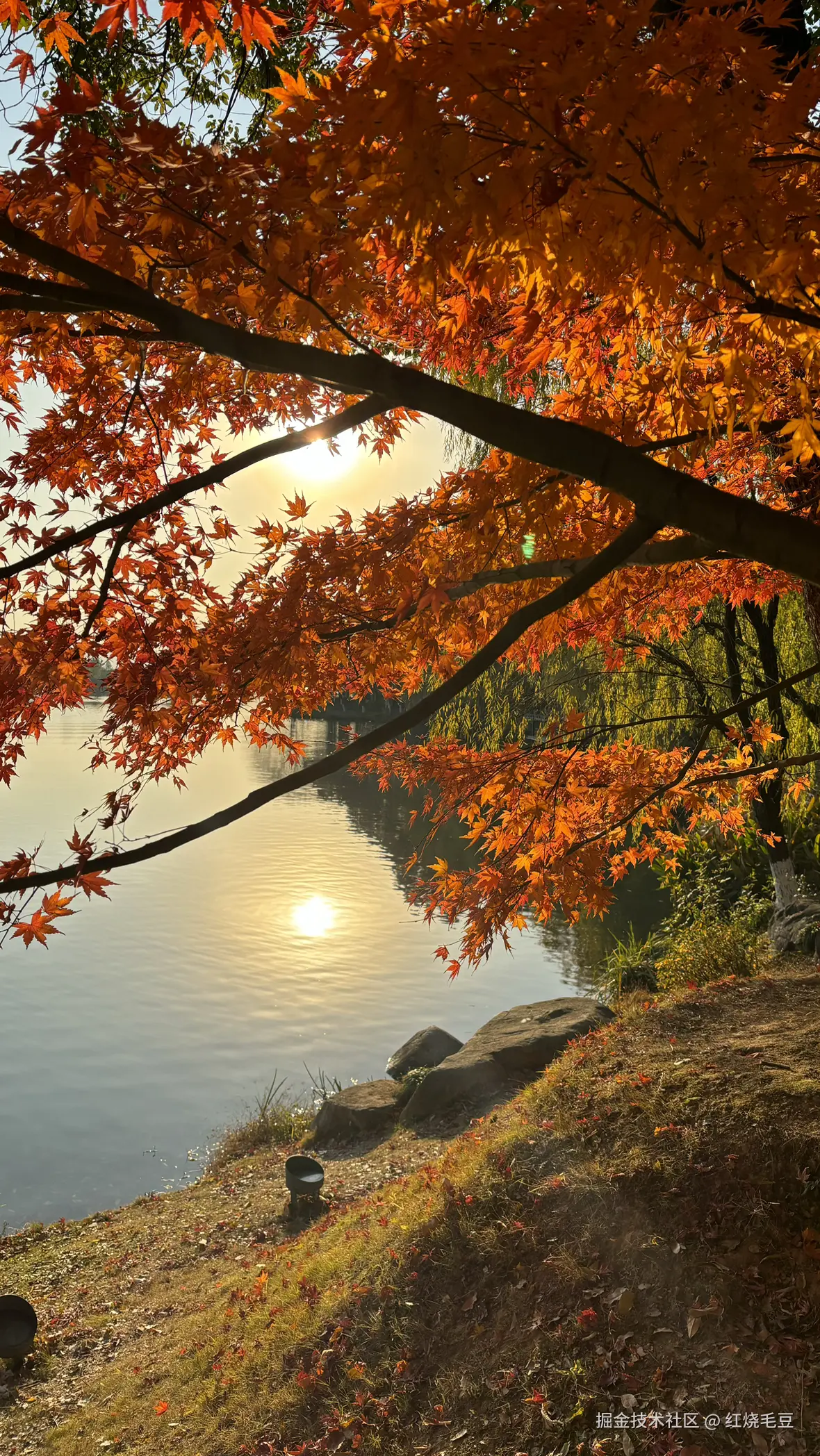 红烧毛豆于2024-12-30 09:27发布的图片