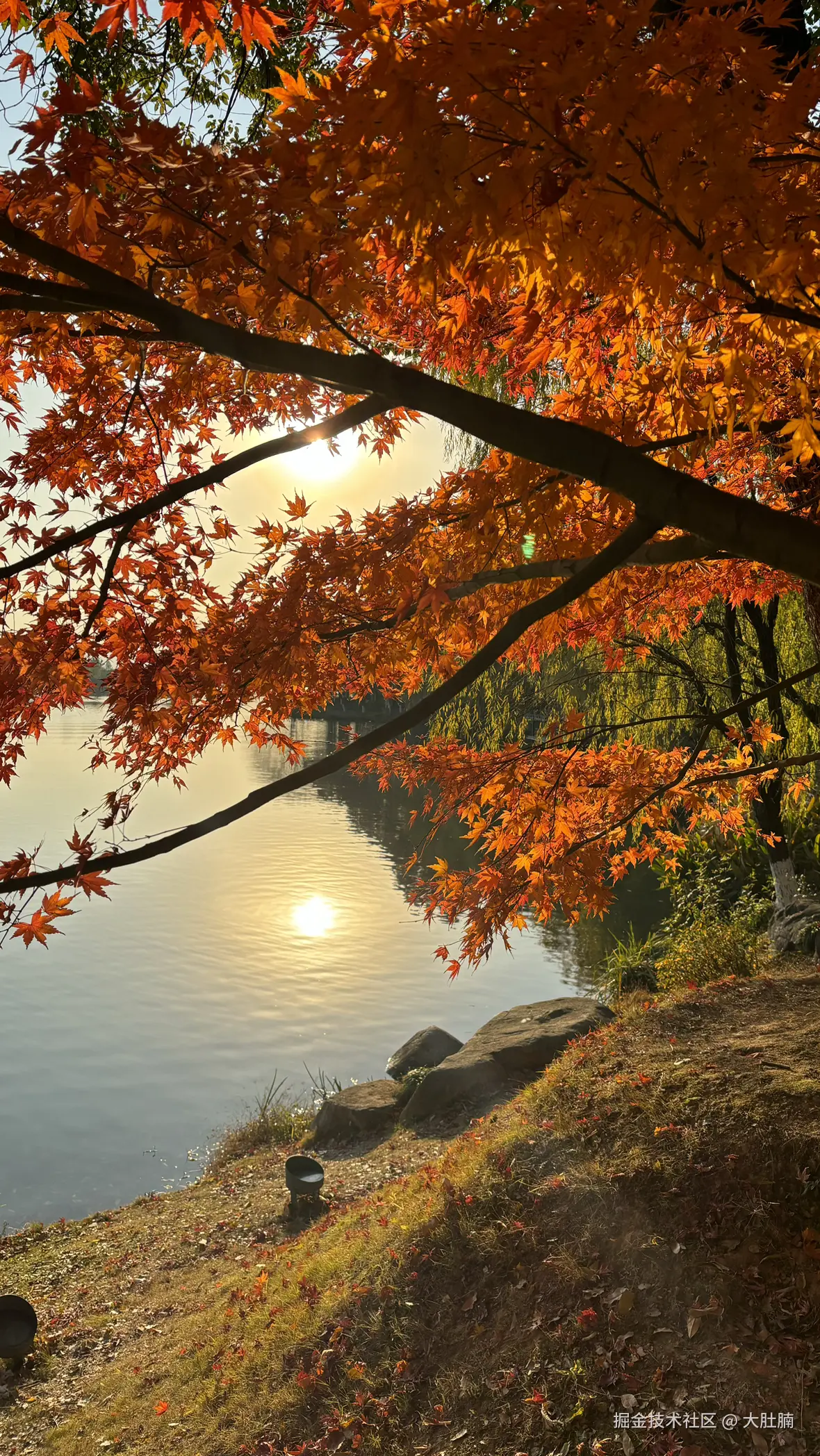 大肚腩于2024-12-30 09:27发布的图片