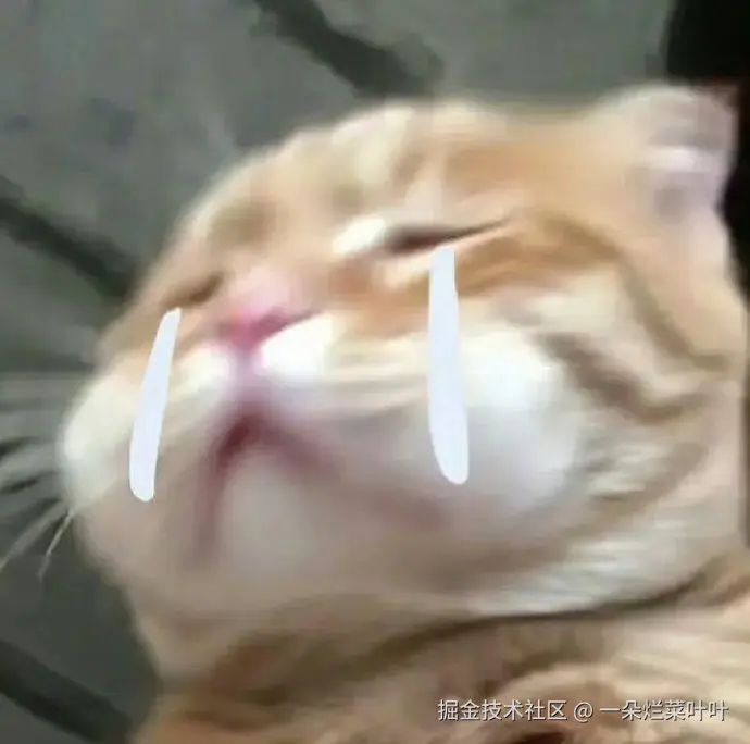 一朵烂菜叶叶于2024-12-03 09:35发布的图片