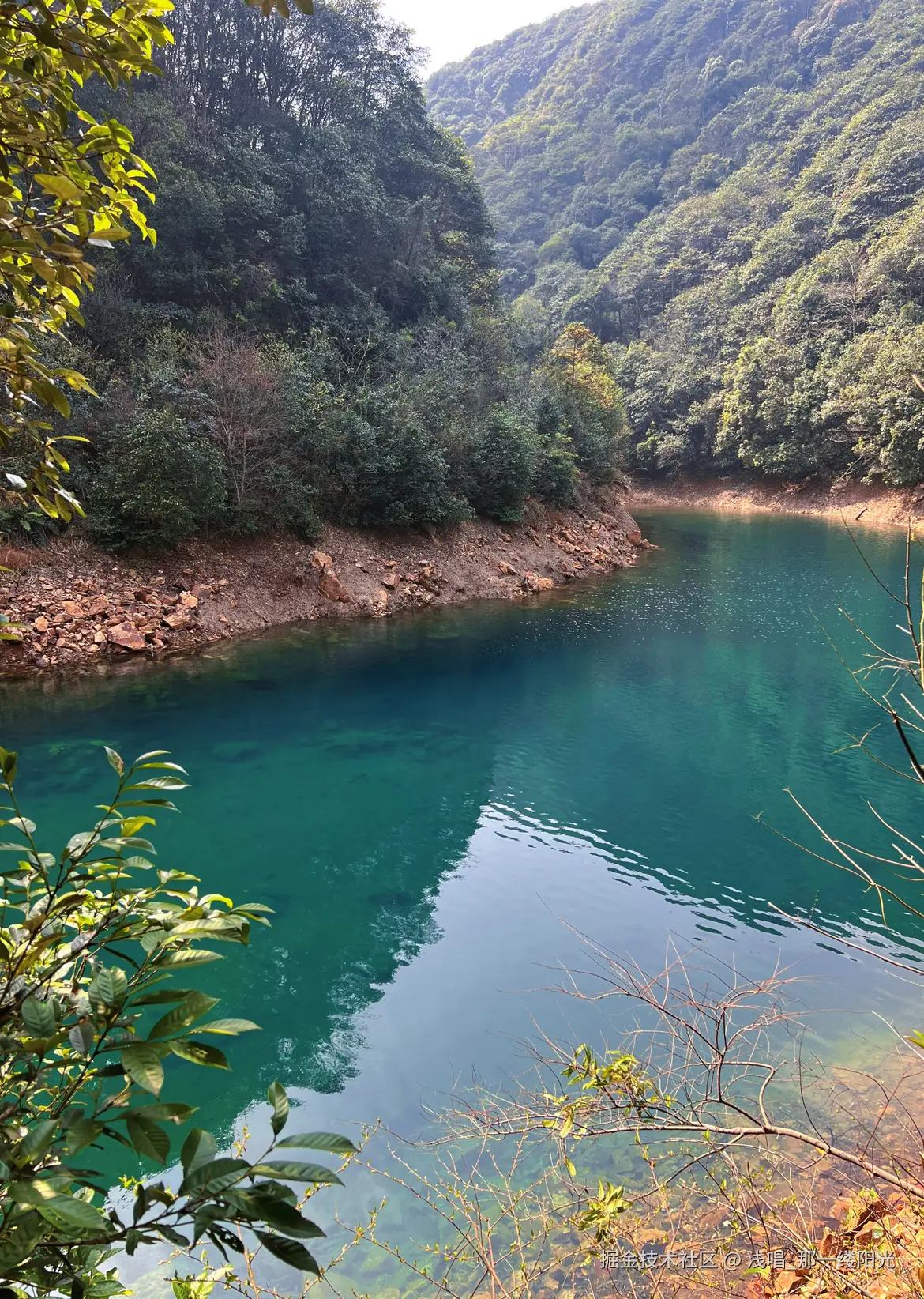 浅唱_那一缕阳光于2026-03-09 10:07发布的图片