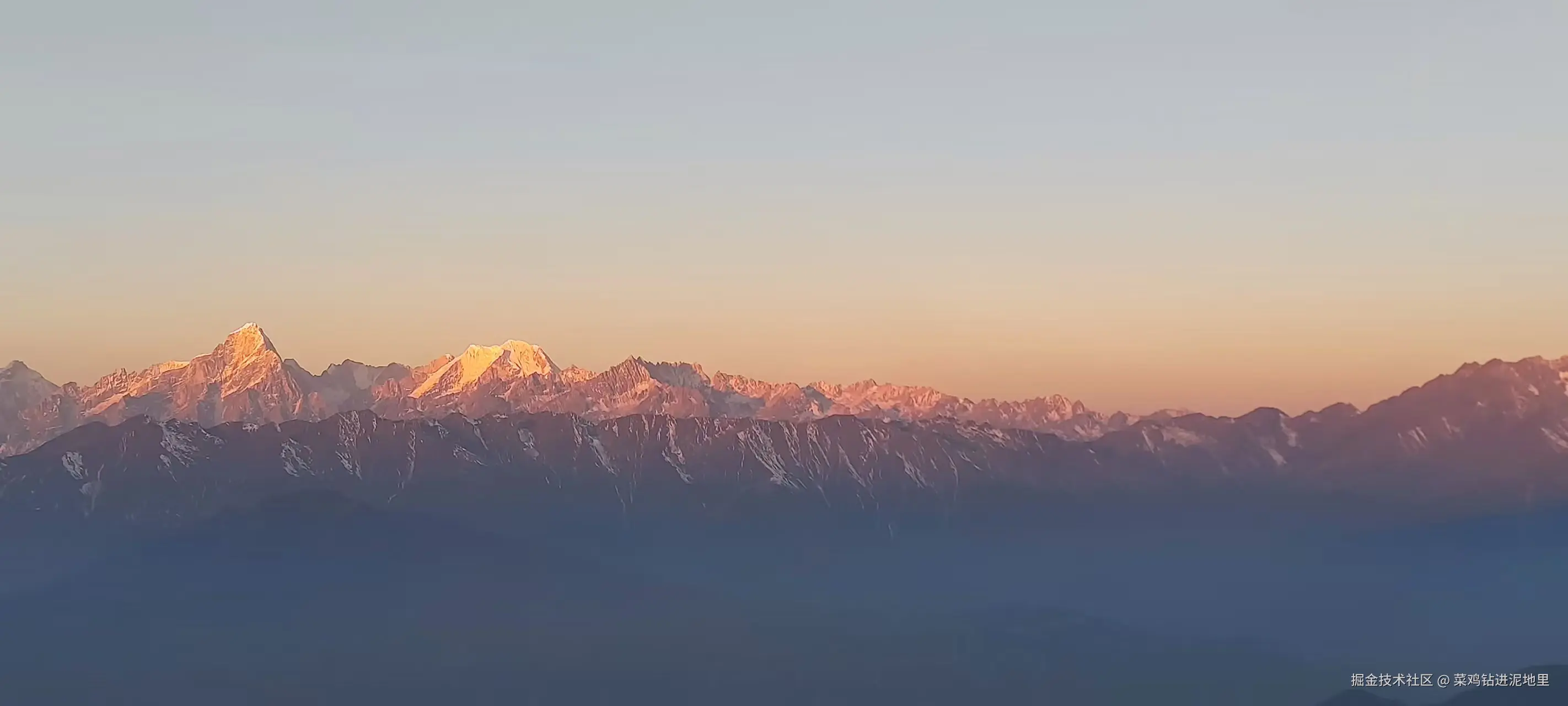 菜鸡钻进泥地里于2026-01-26 10:20发布的图片