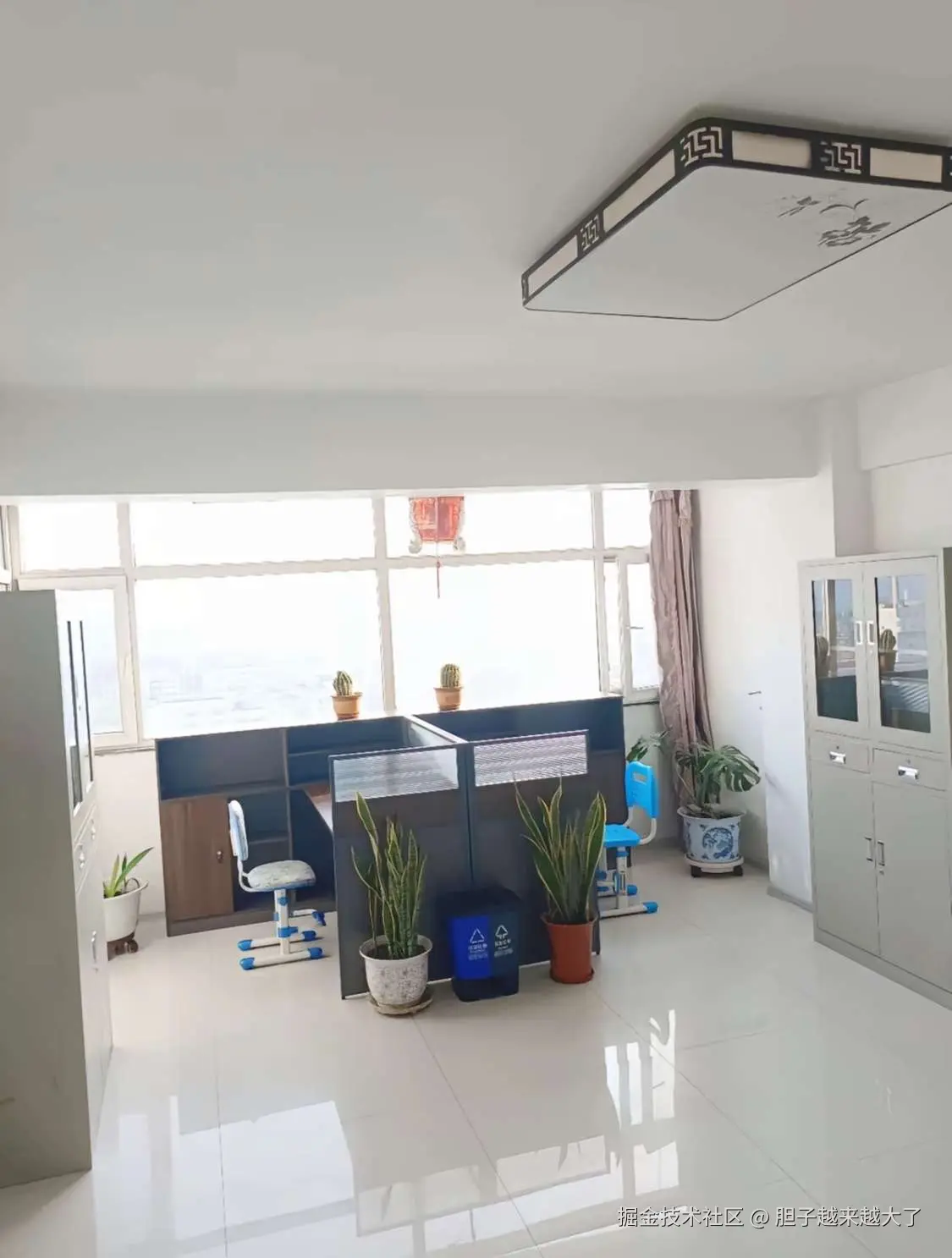 胆子越来越大了于2026-03-19 13:56发布的图片