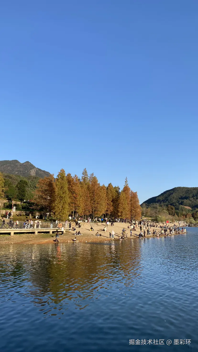 墨彩环于2024-12-02 08:09发布的图片