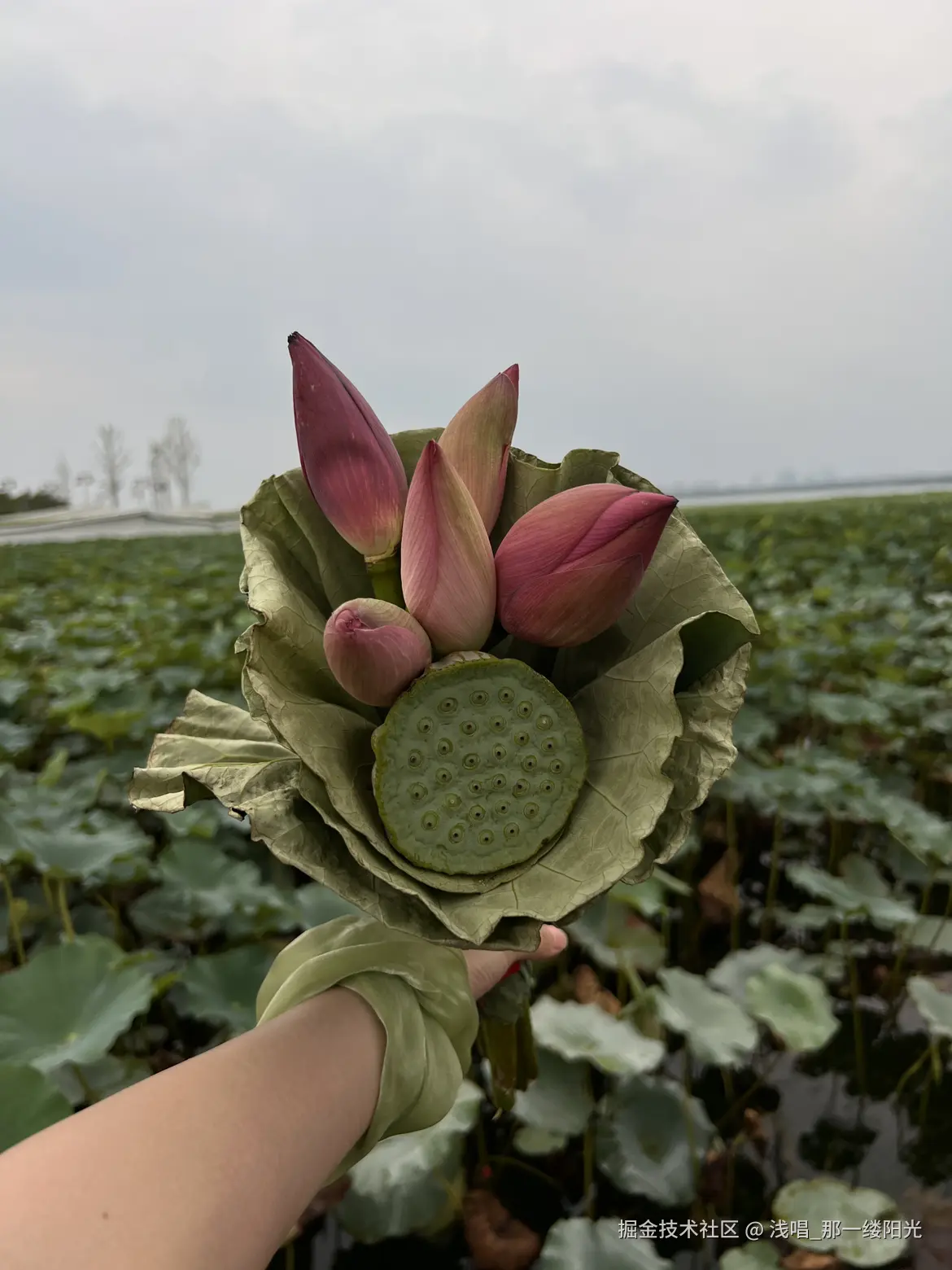 浅唱_那一缕阳光于2025-08-12 09:37发布的图片