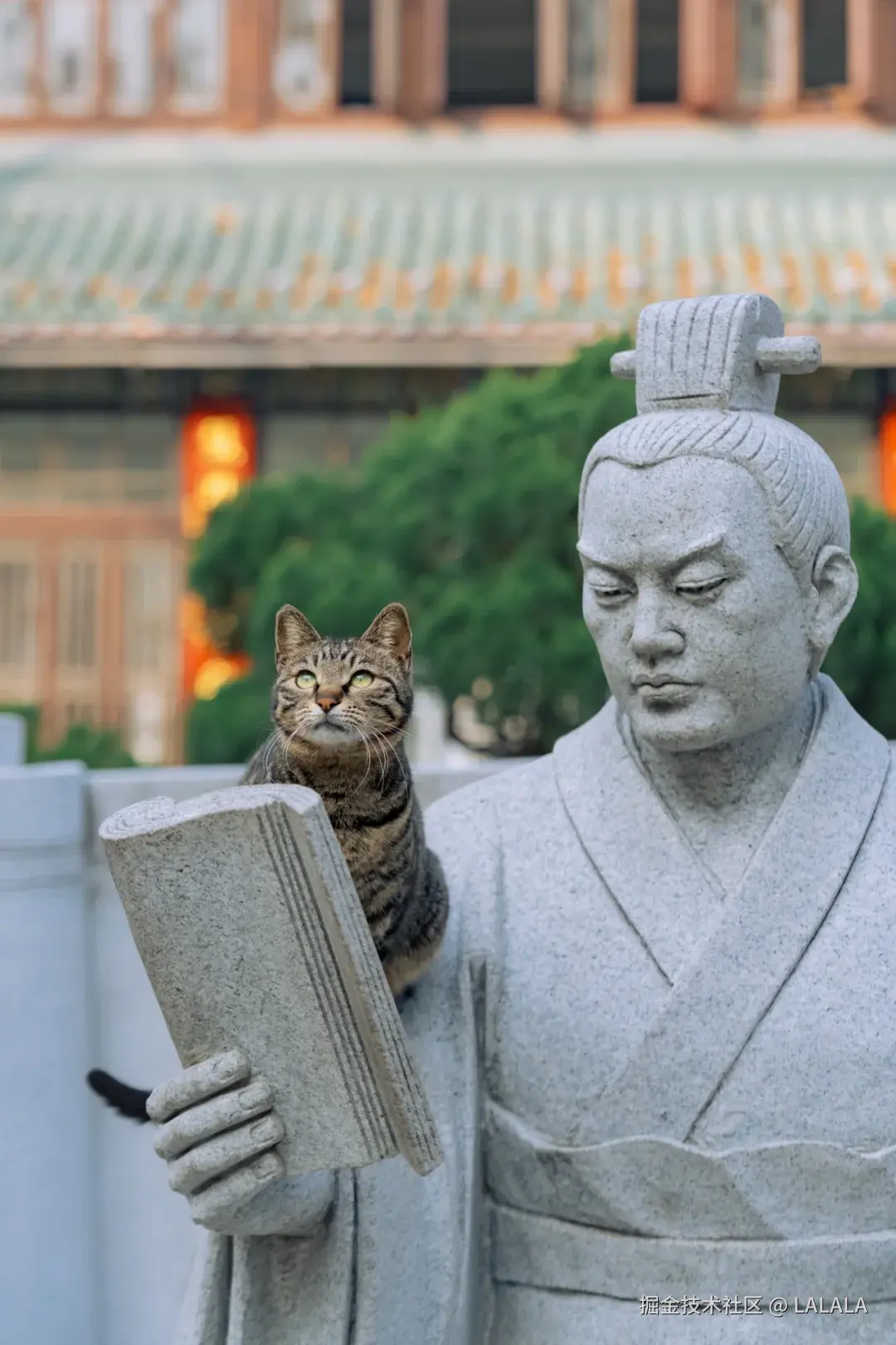 LALALA于2026-03-20 17:02发布的图片