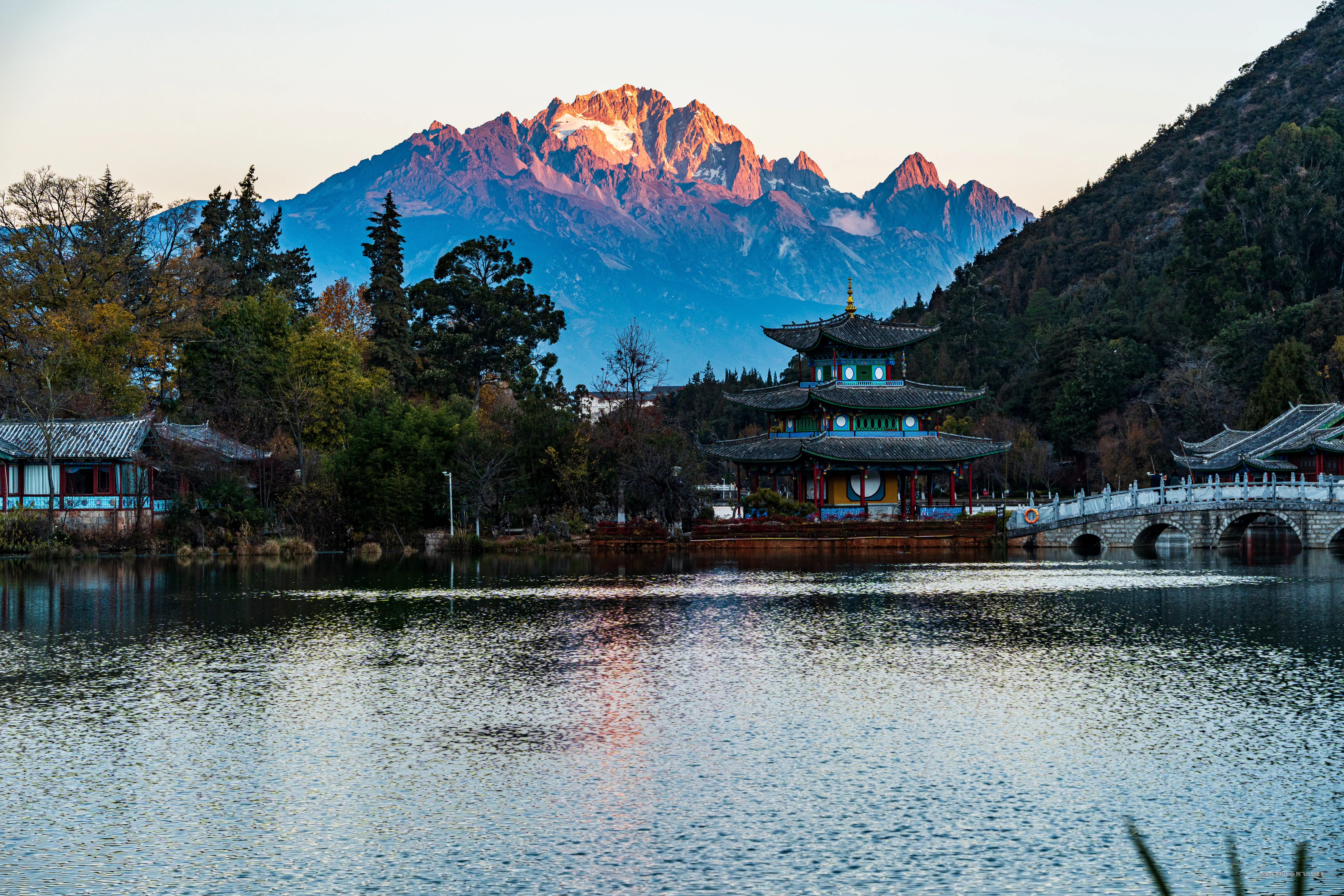 阿飞只想摸鱼于2026-02-11 14:49发布的图片