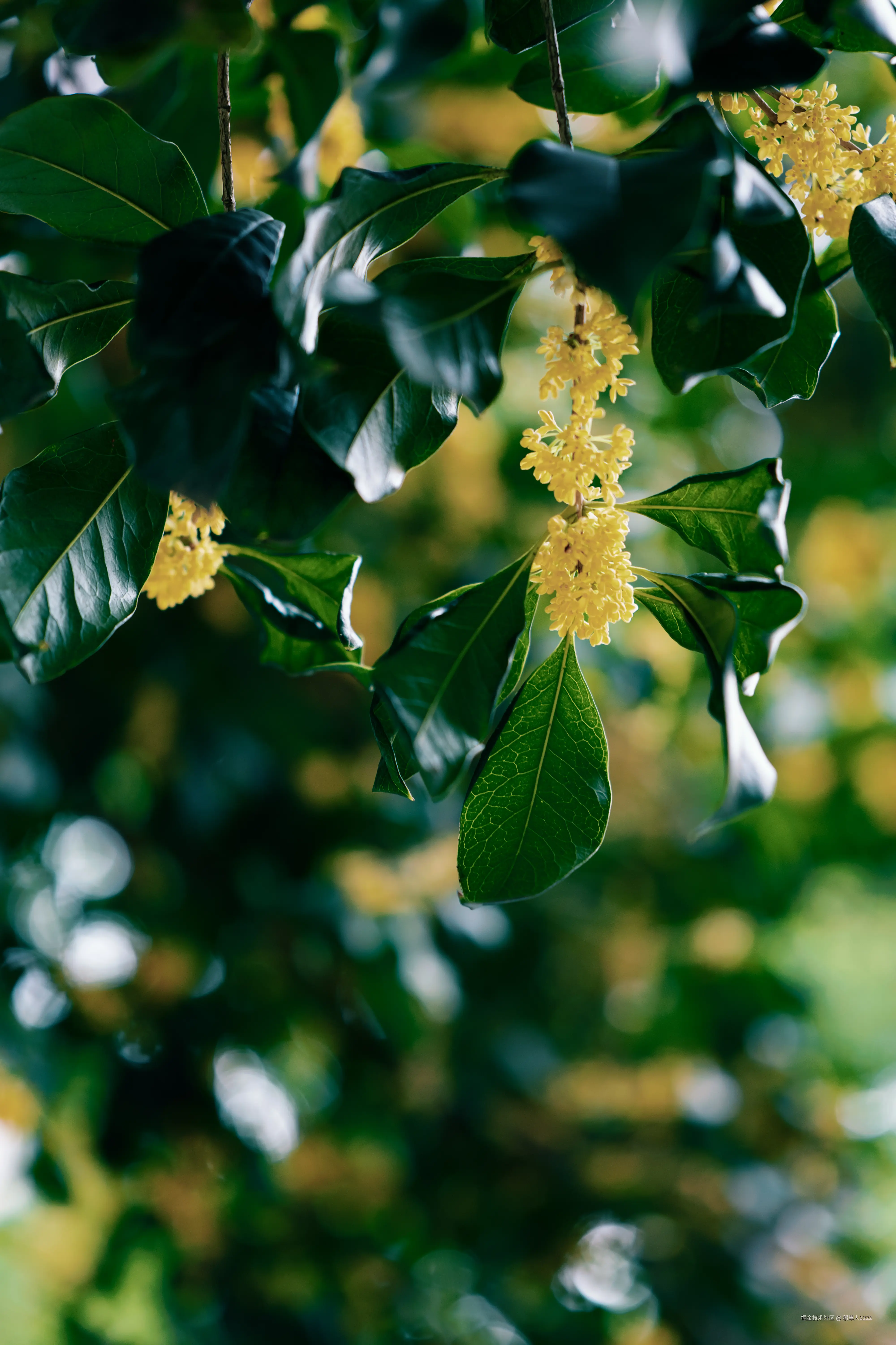 稻草人2222于2025-11-12 14:09发布的图片