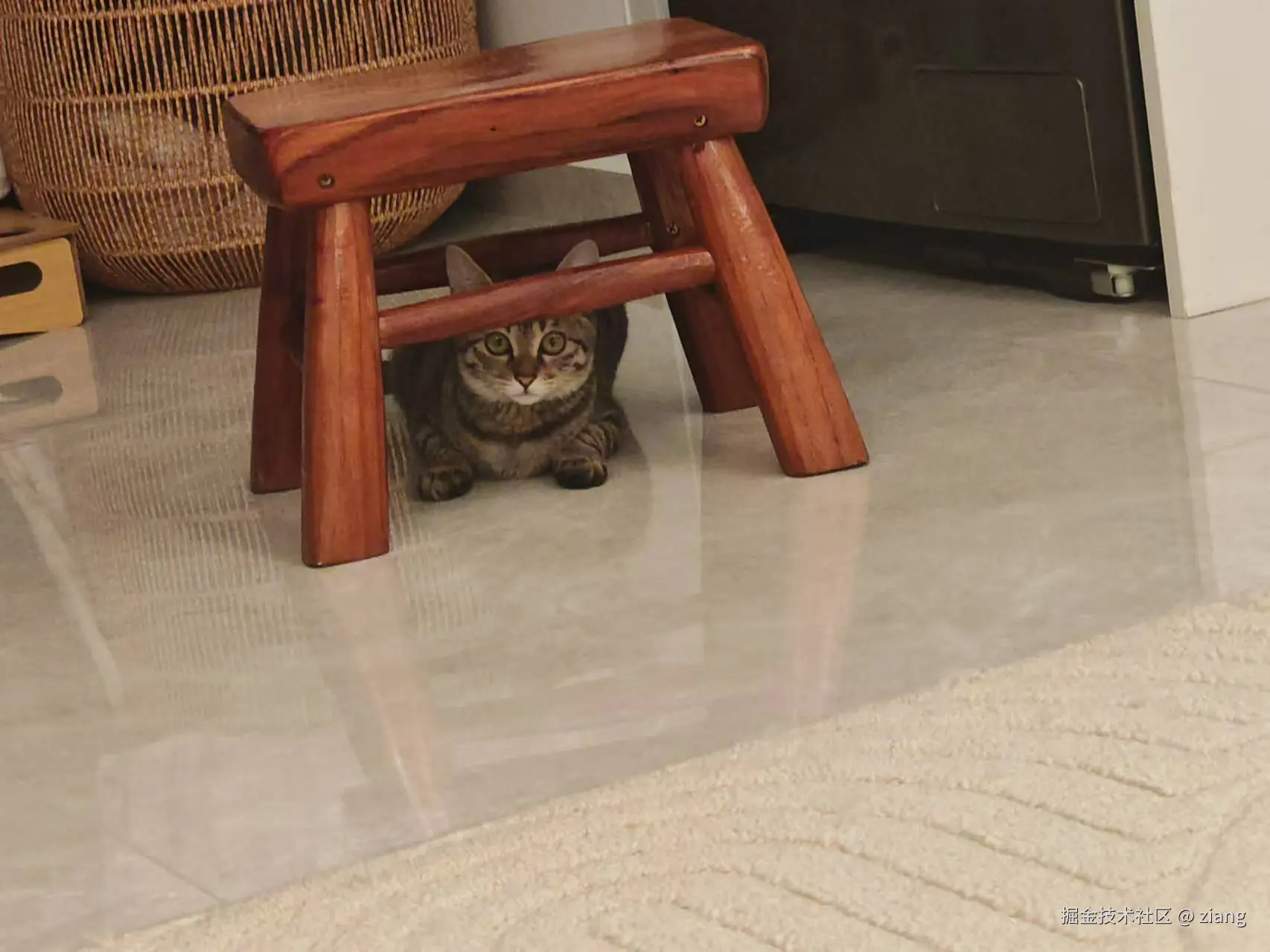 ziang于2024-11-26 14:18发布的图片