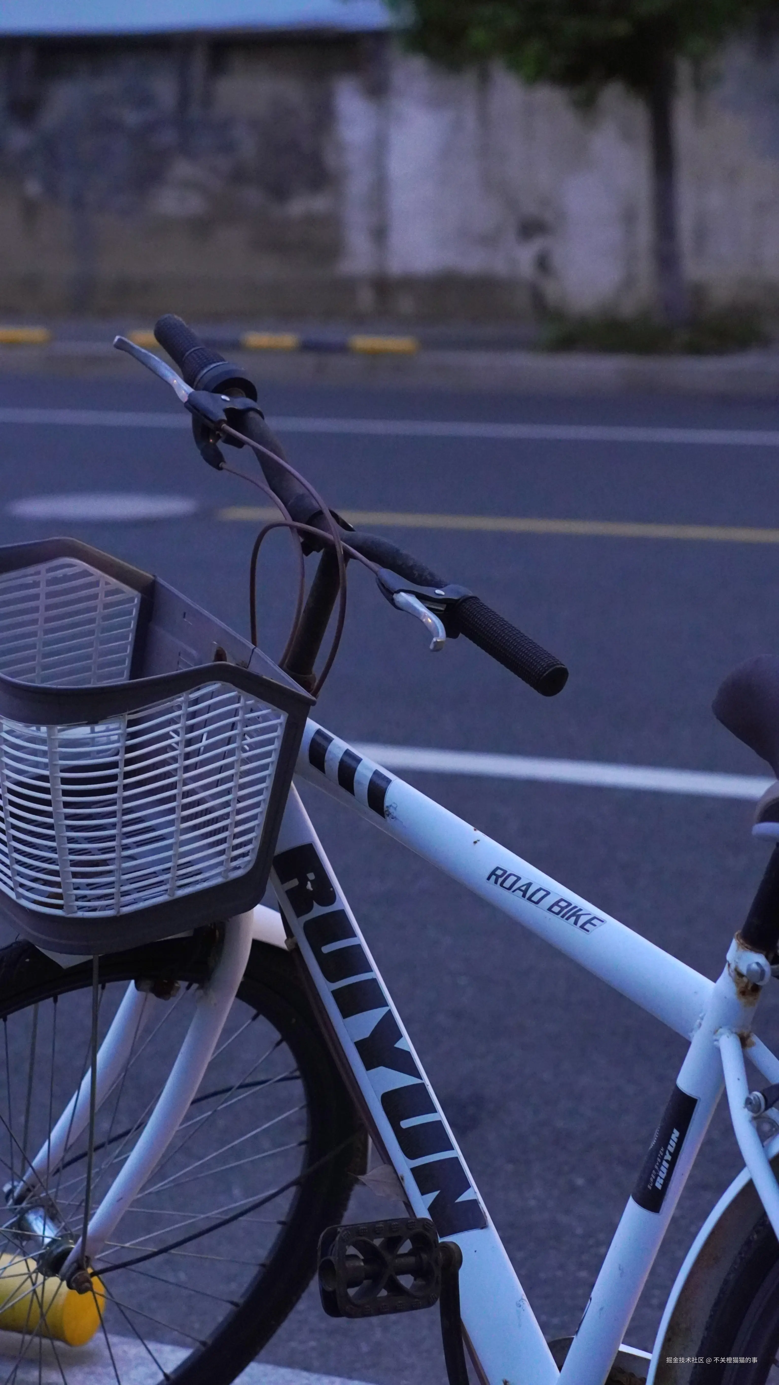 不关橙猫猫的事于2024-08-12 09:42发布的图片